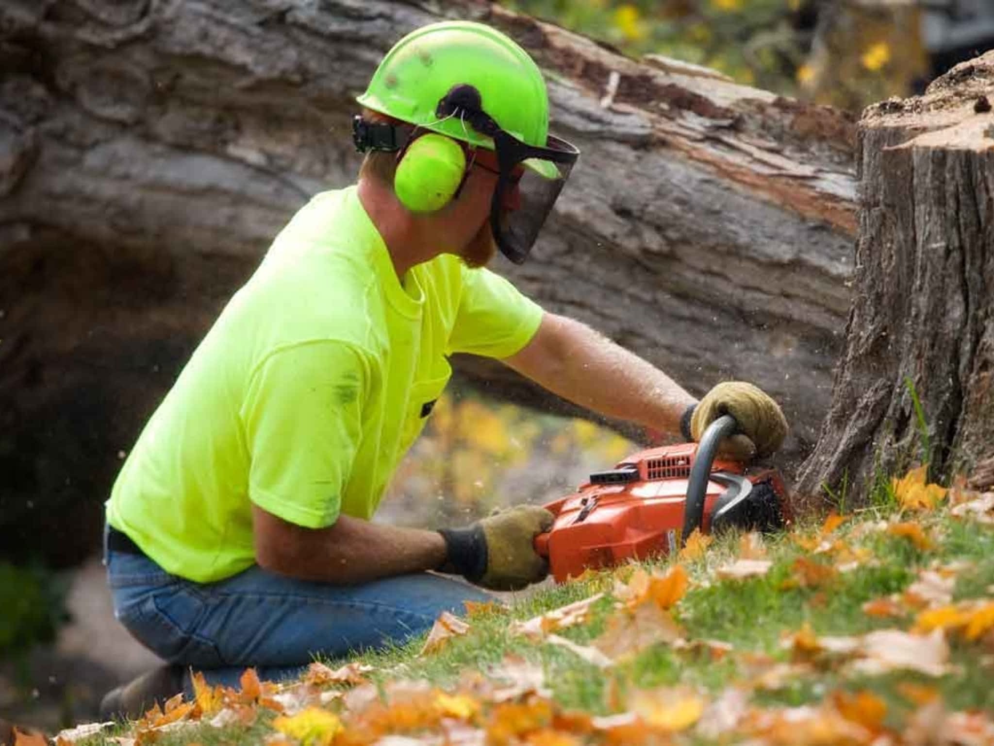 photo Forestwood Tree Service