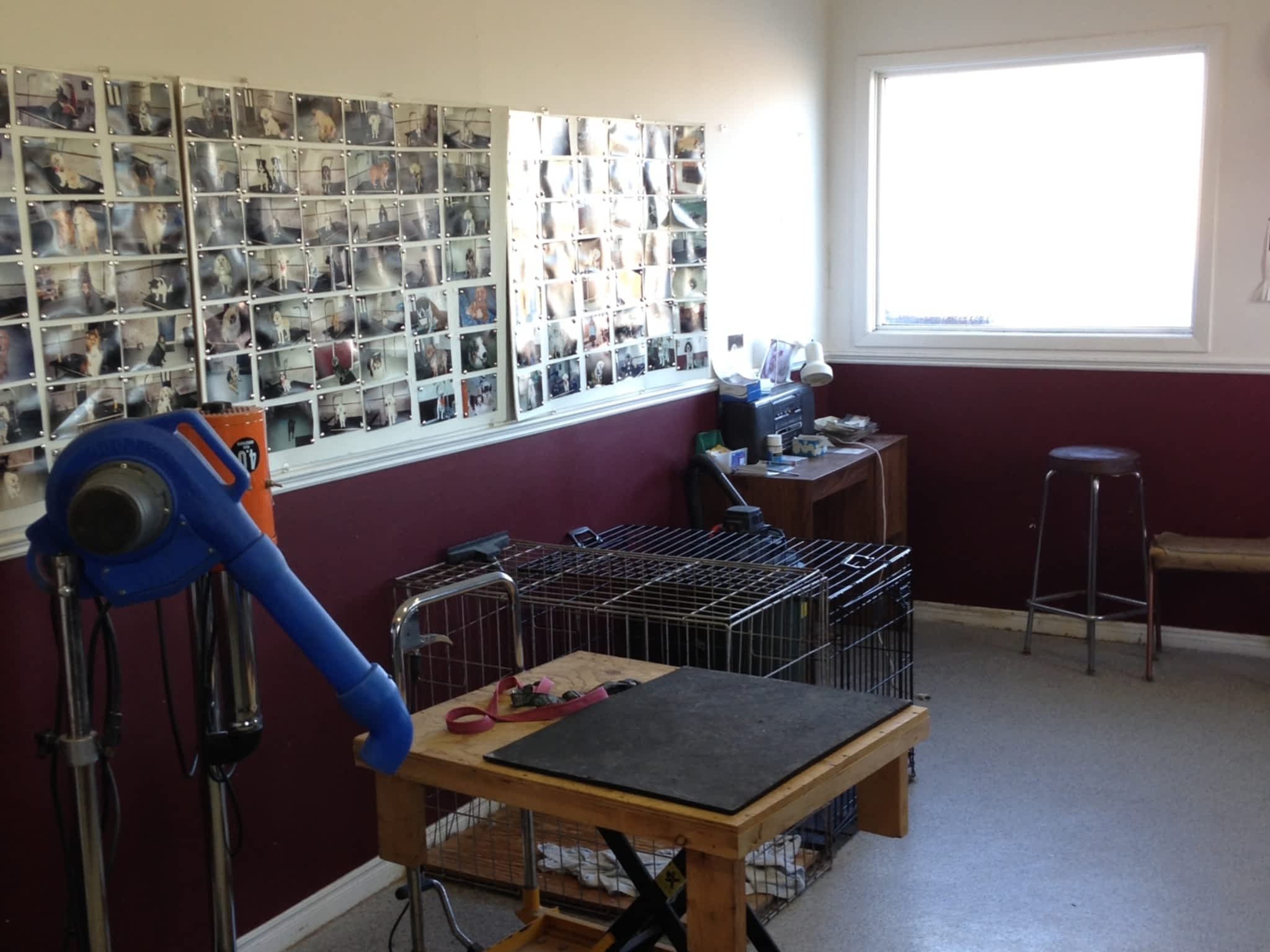 photo Added Touch Pet Grooming