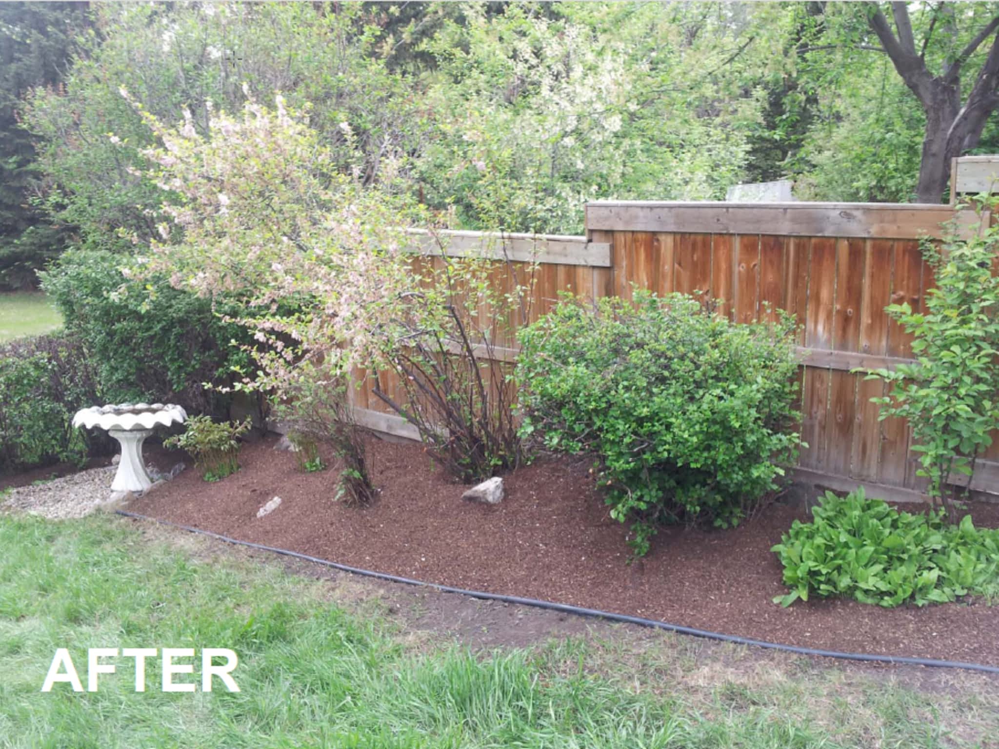 photo Mowhawks Property Services