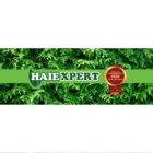 Haiexpert - Logo