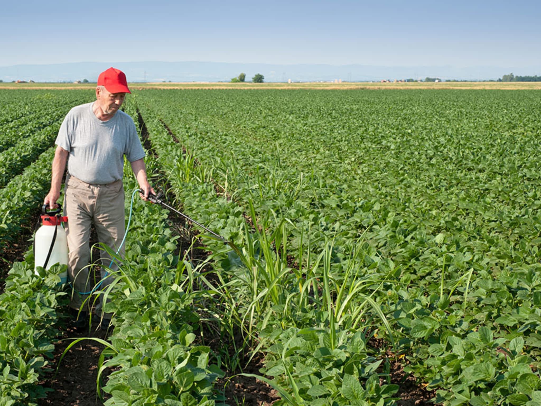 Purity Feed Farm & Garden Centre - Kamloops, BC - 471 Okanagan Way