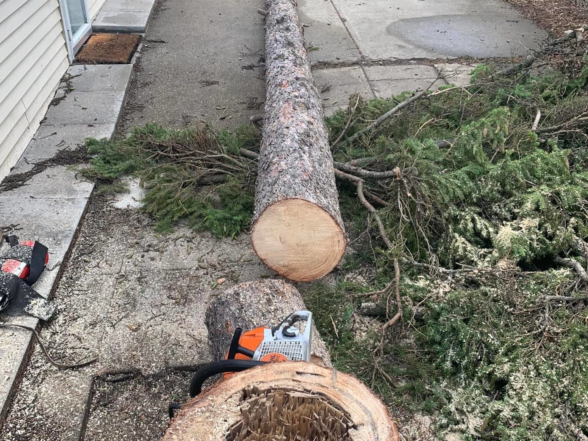 photo Mayday Tree Services