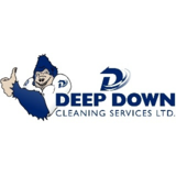 View Deep Down Cleaning Services Ltd’s Dartmouth profile
