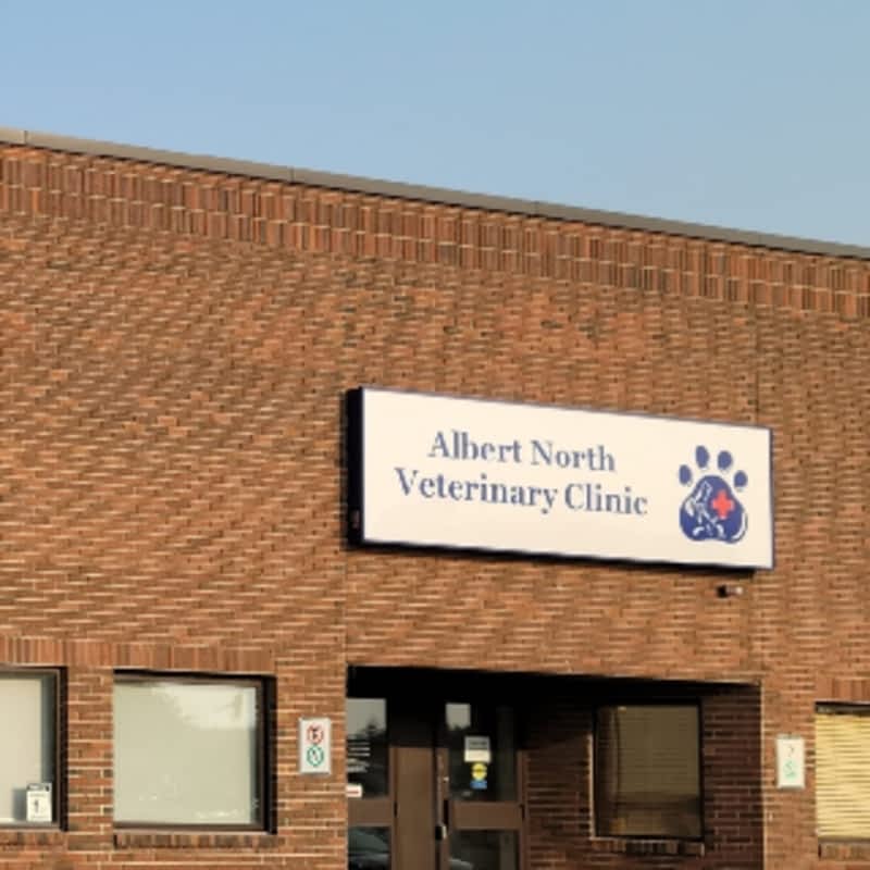 Albert north sales vet clinic