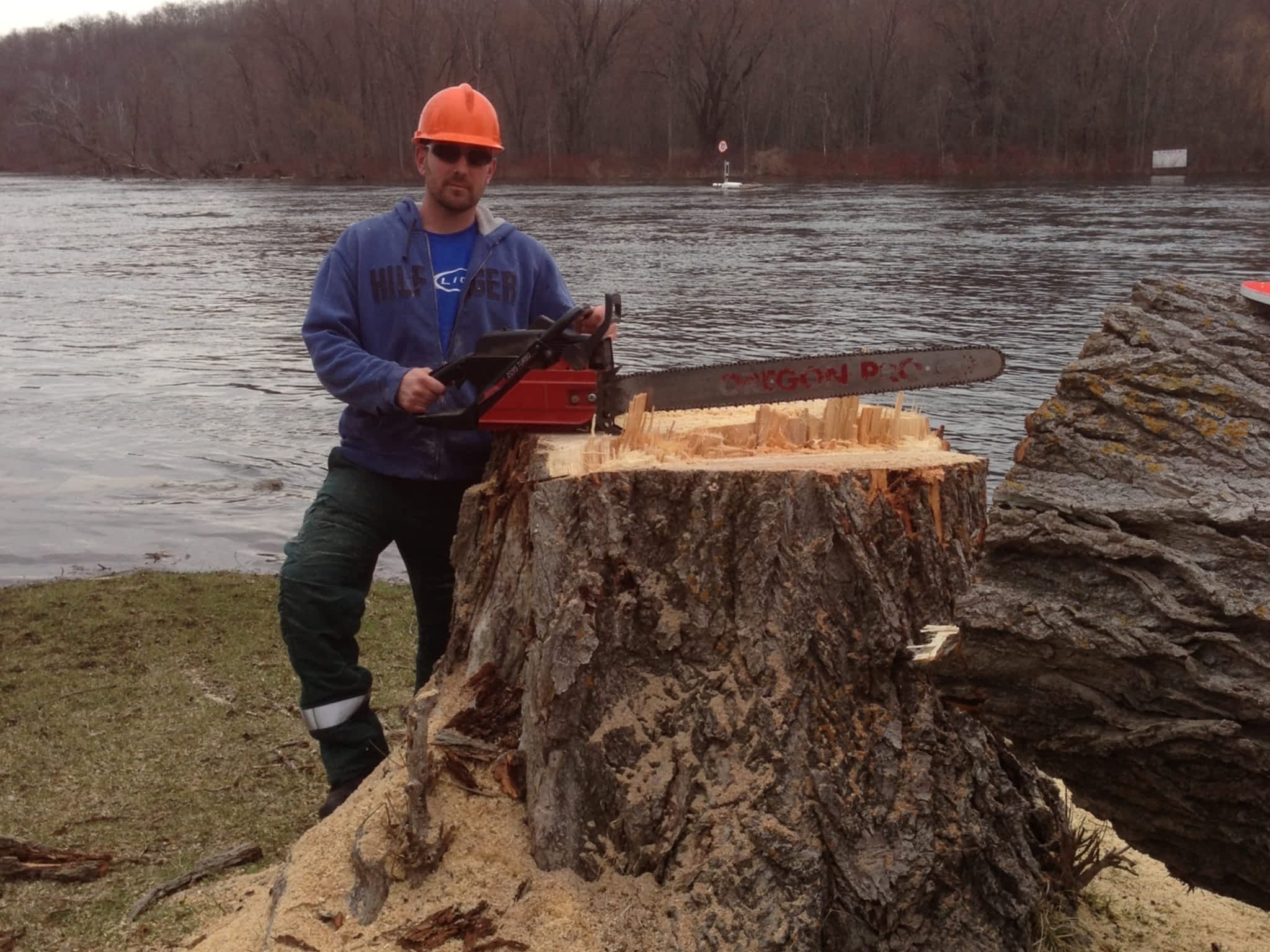 photo O'Brien Tree Service