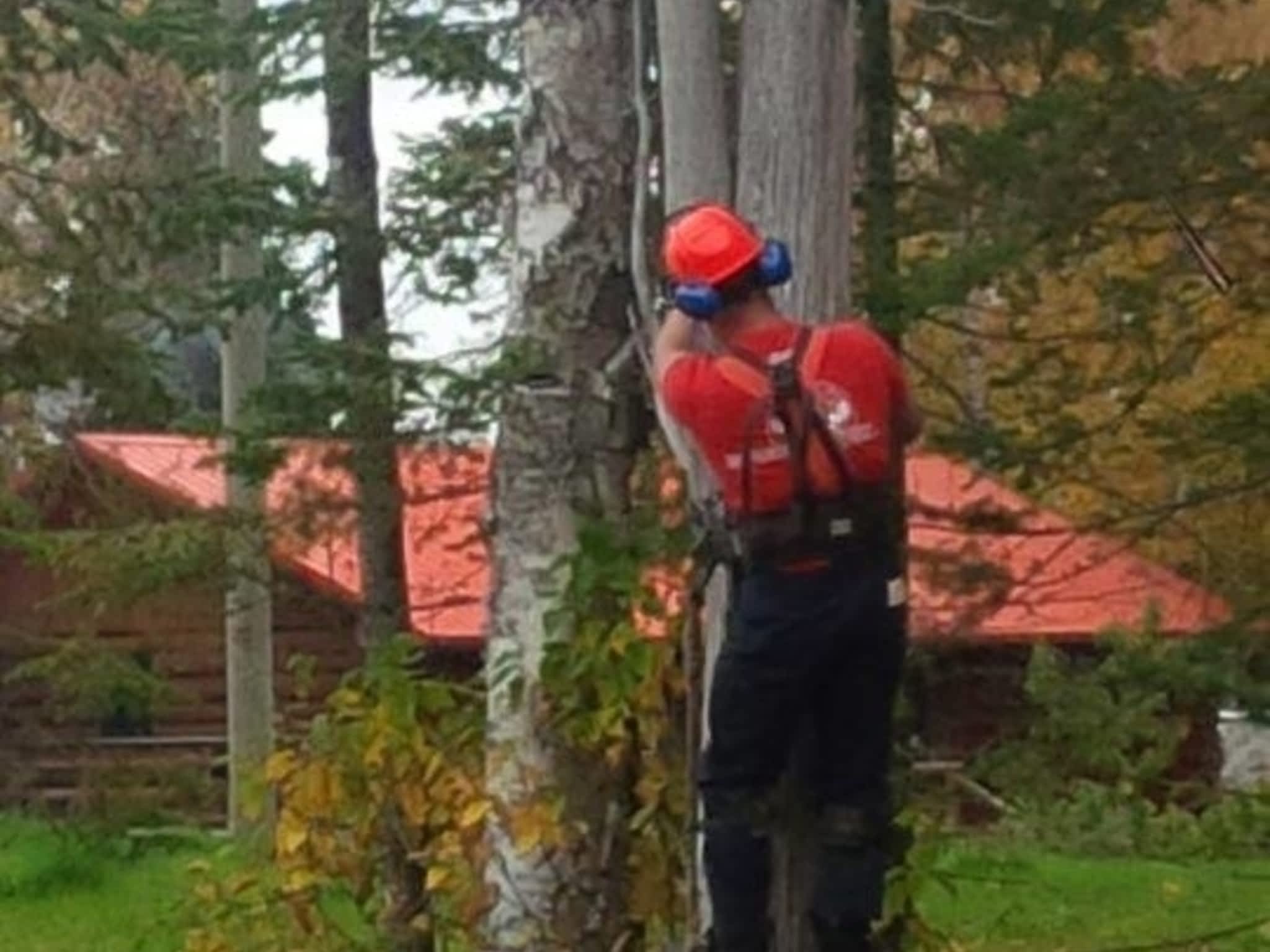 photo Algoma Tree Services