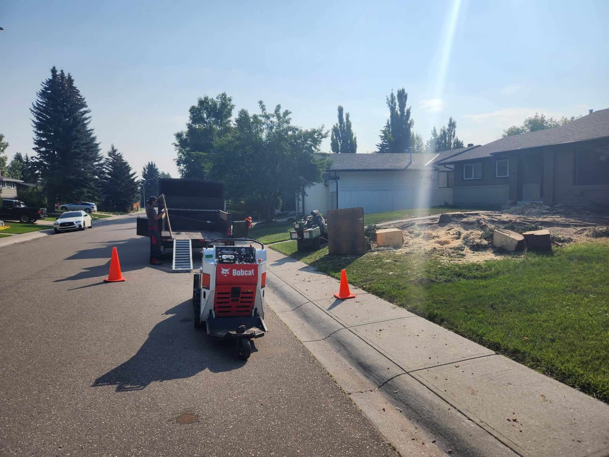 photo Stubborn Stump Grinding and Tree Care