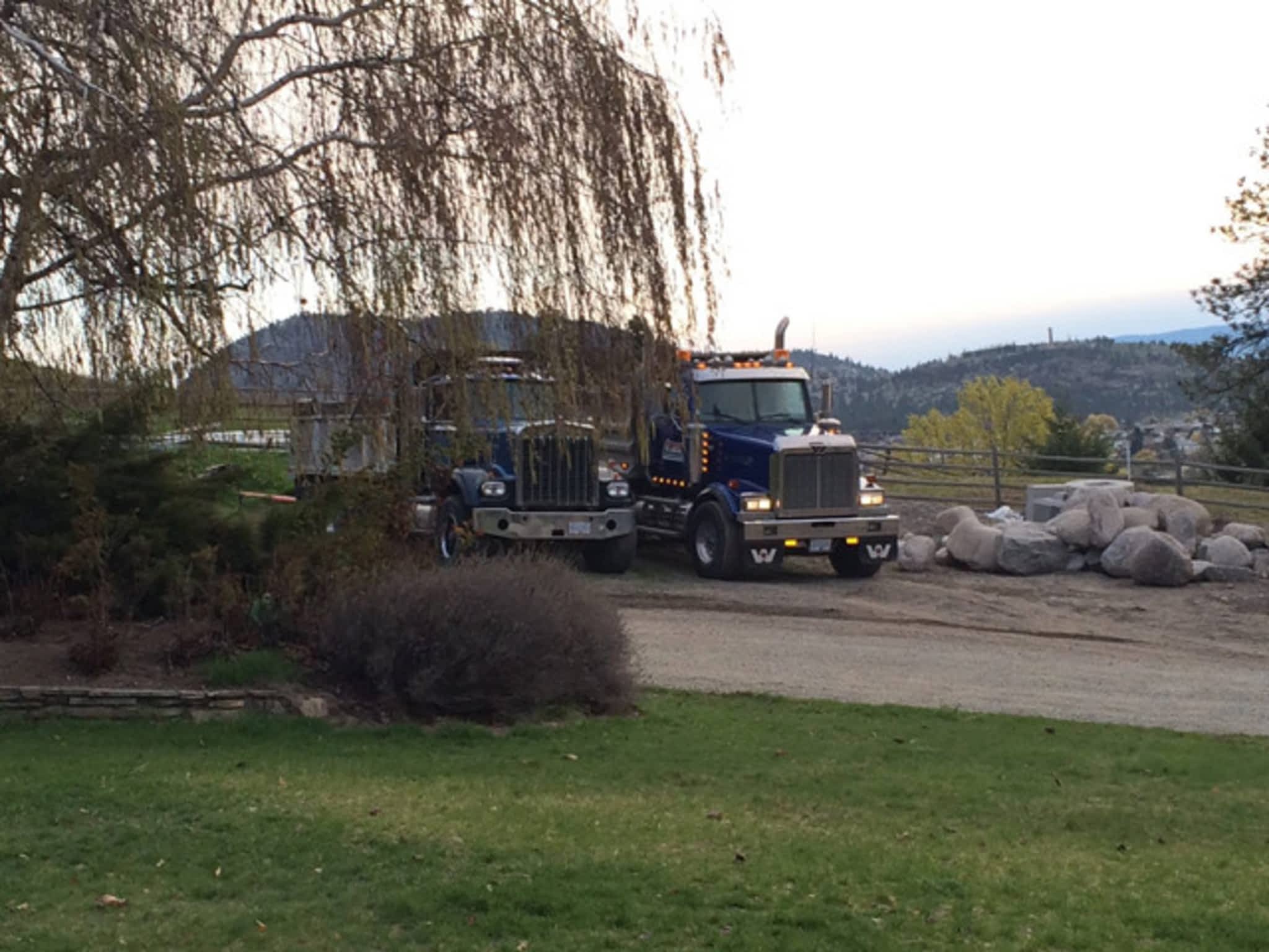 photo T-Rex Excavating & Demolition