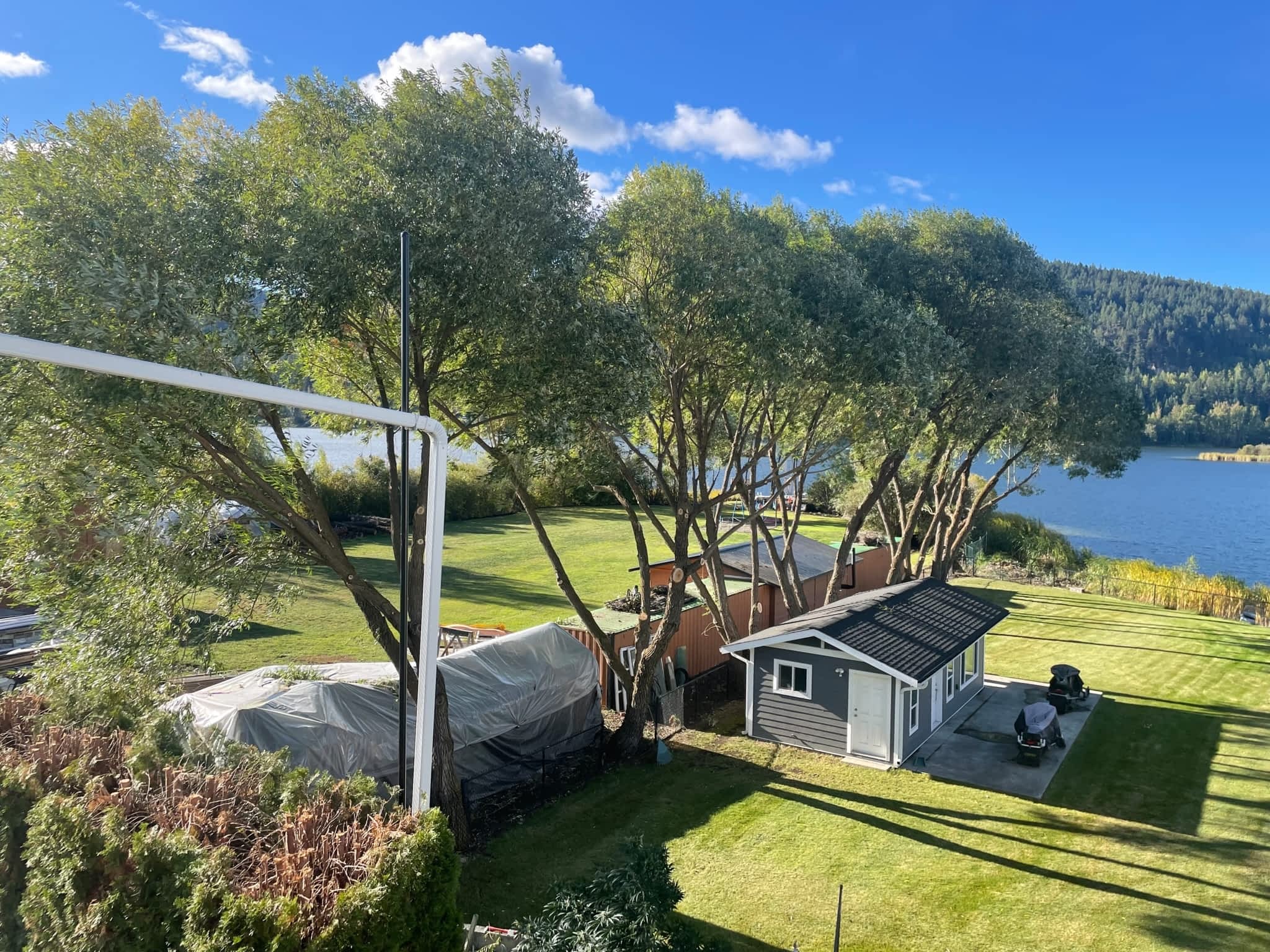 photo Stumped Tree Service