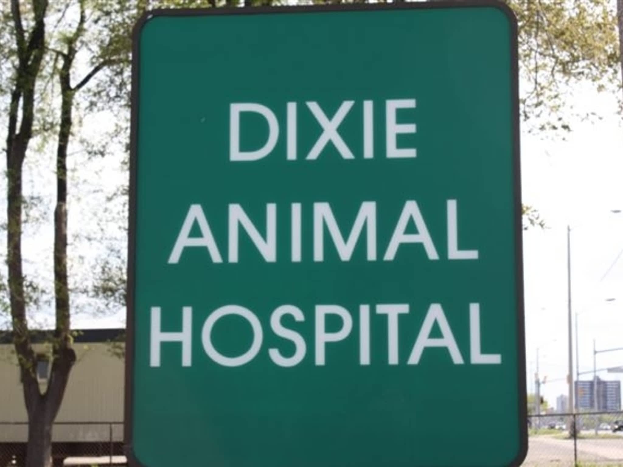photo Dixie Animal