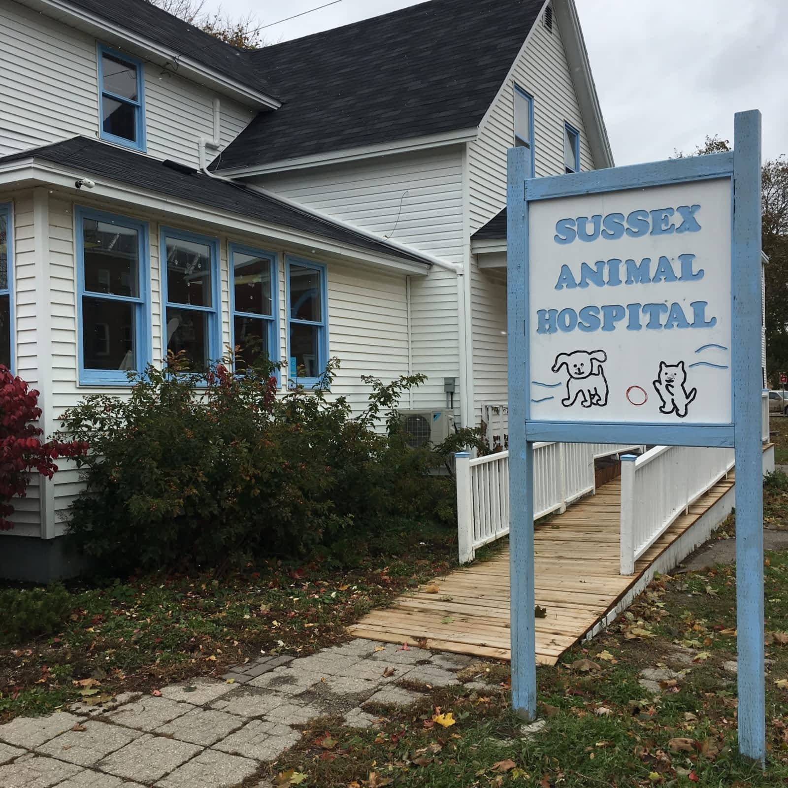 Sussex Animal Hospital - Opening Hours - 11 St George St, Sussex, NB