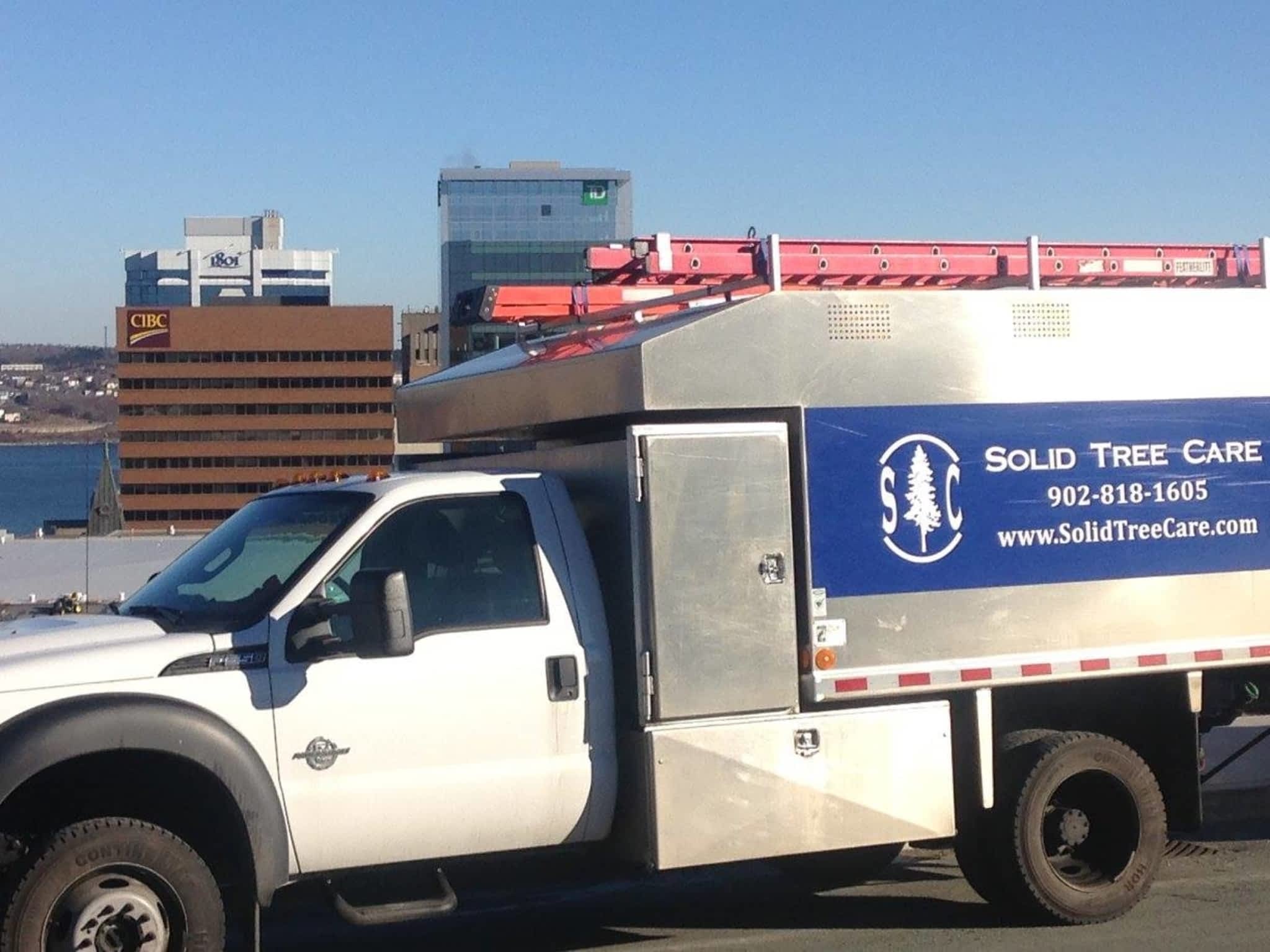 photo Solid Tree Care