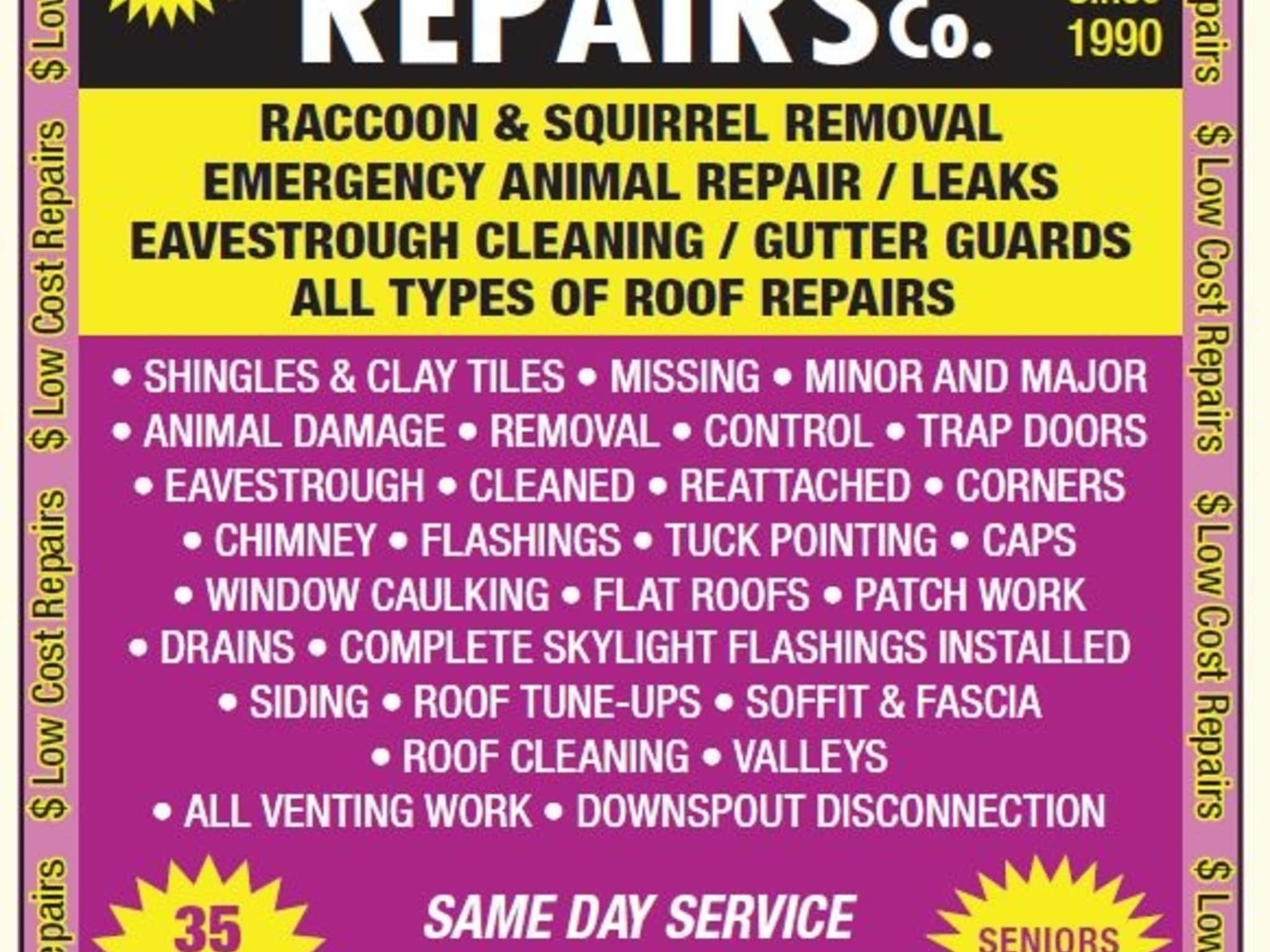 photo Roofing Repairs