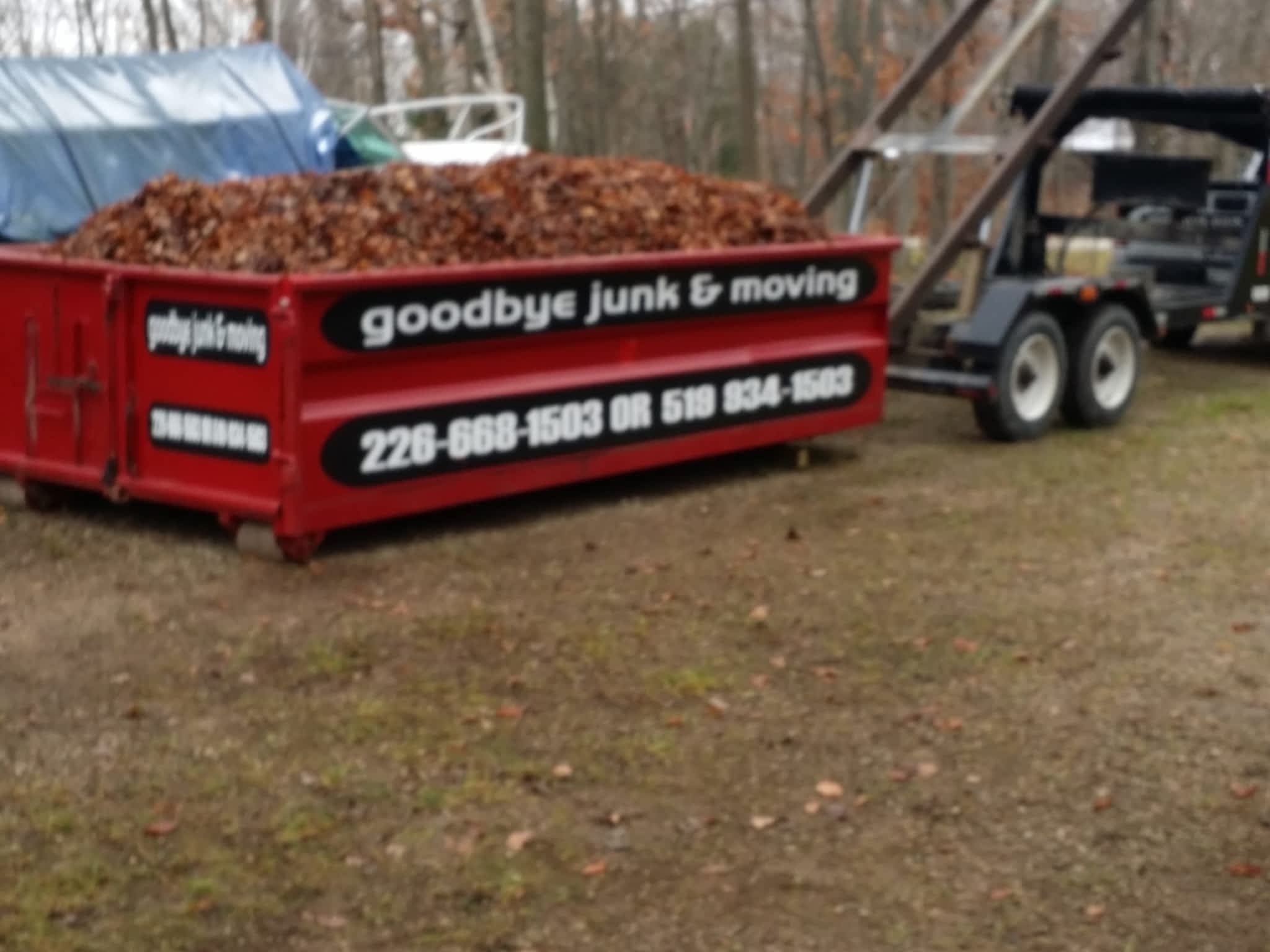 photo Goodbye Junk Cleanup & Bin Rental Services