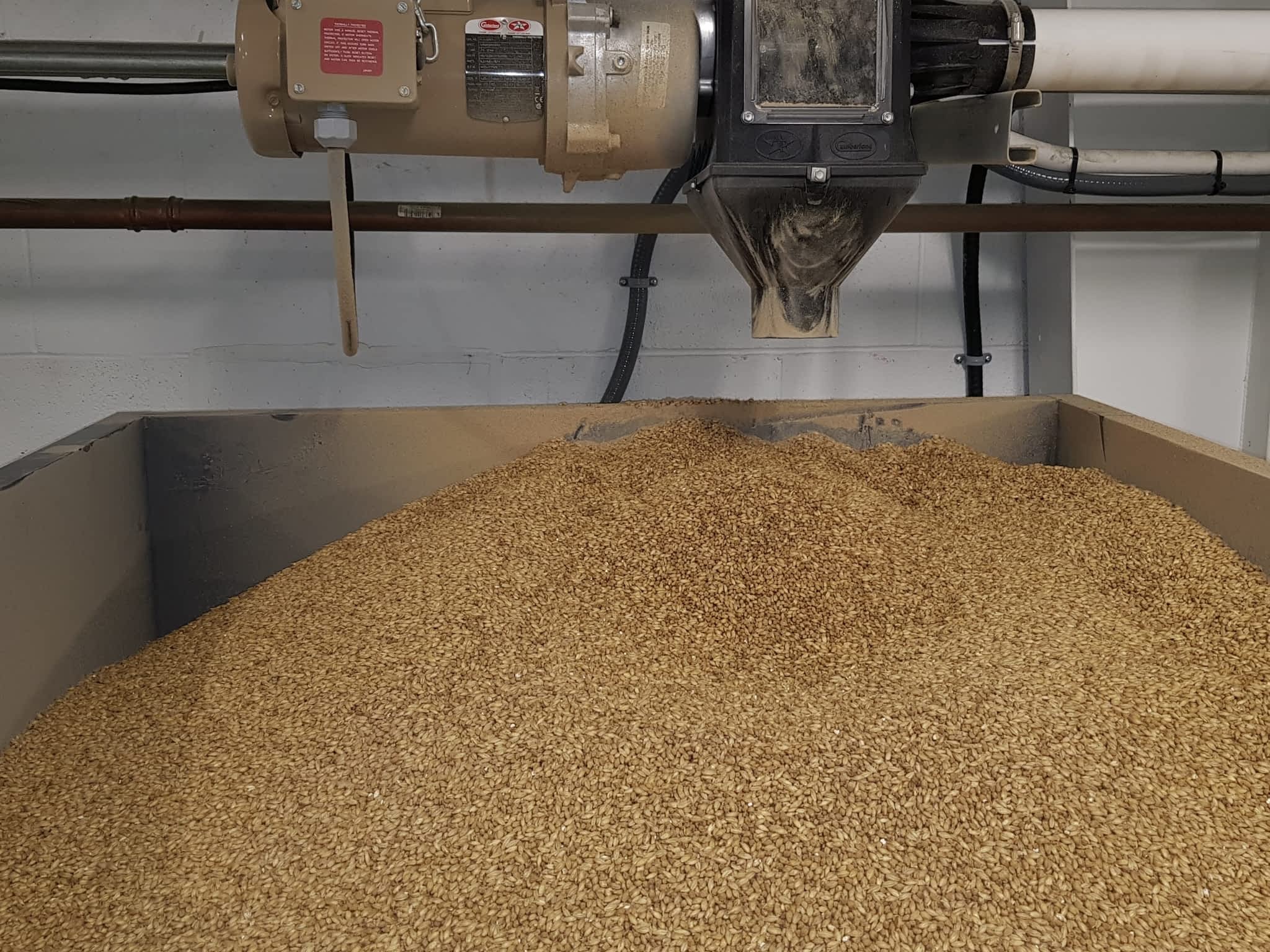 photo Rickman Electrical Services