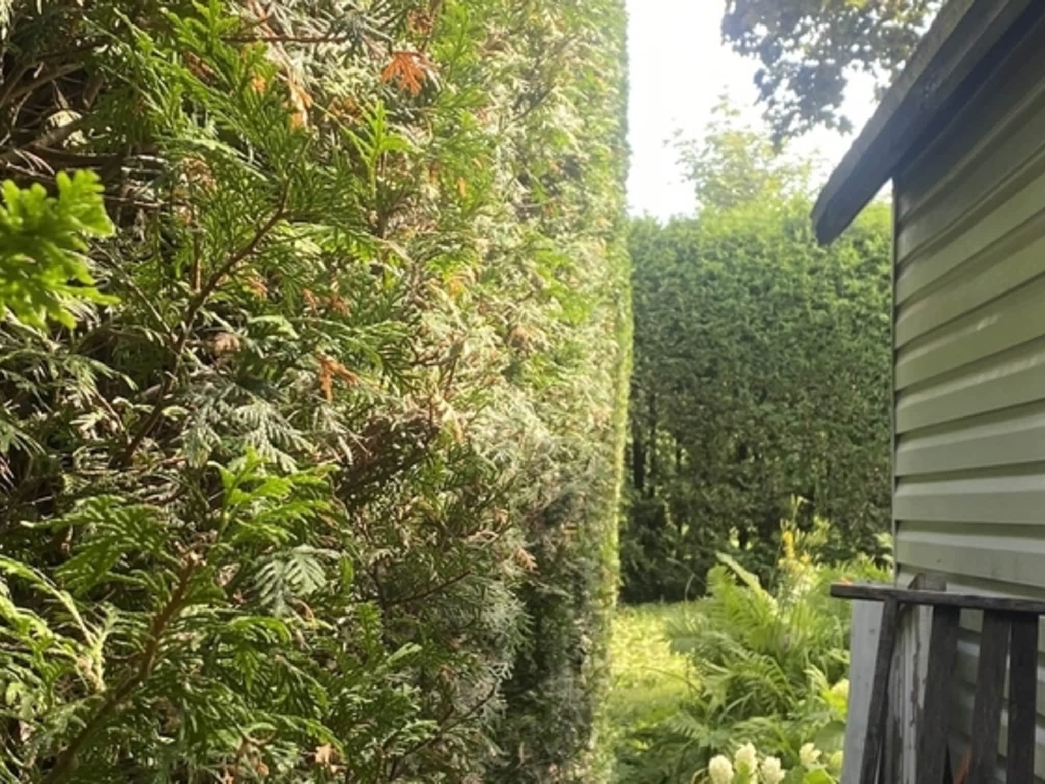 photo Groupe Lefebvre Extérieur Inc.