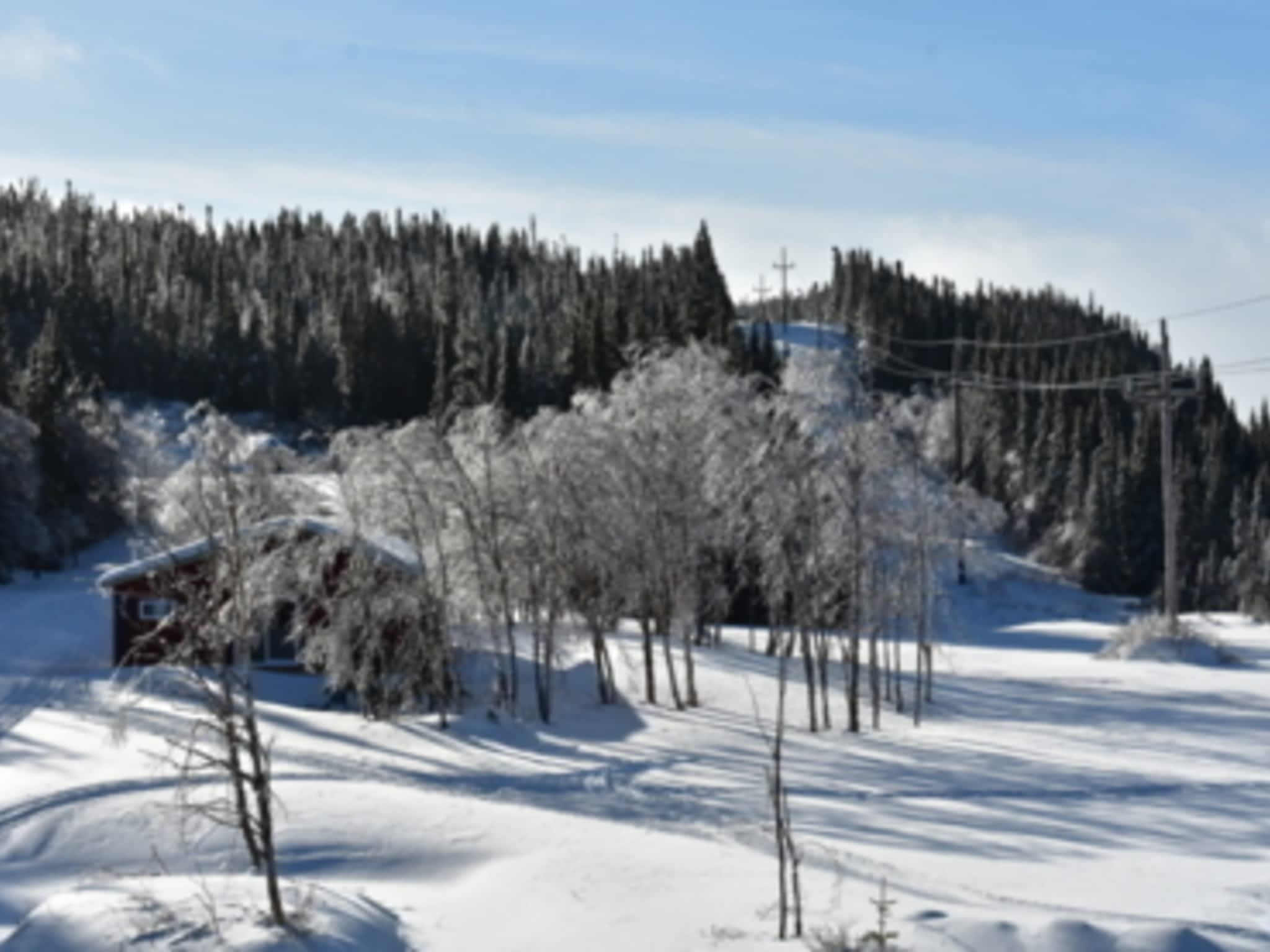 Jackie's Place Pollard's Point, NL Route 420 Canpages