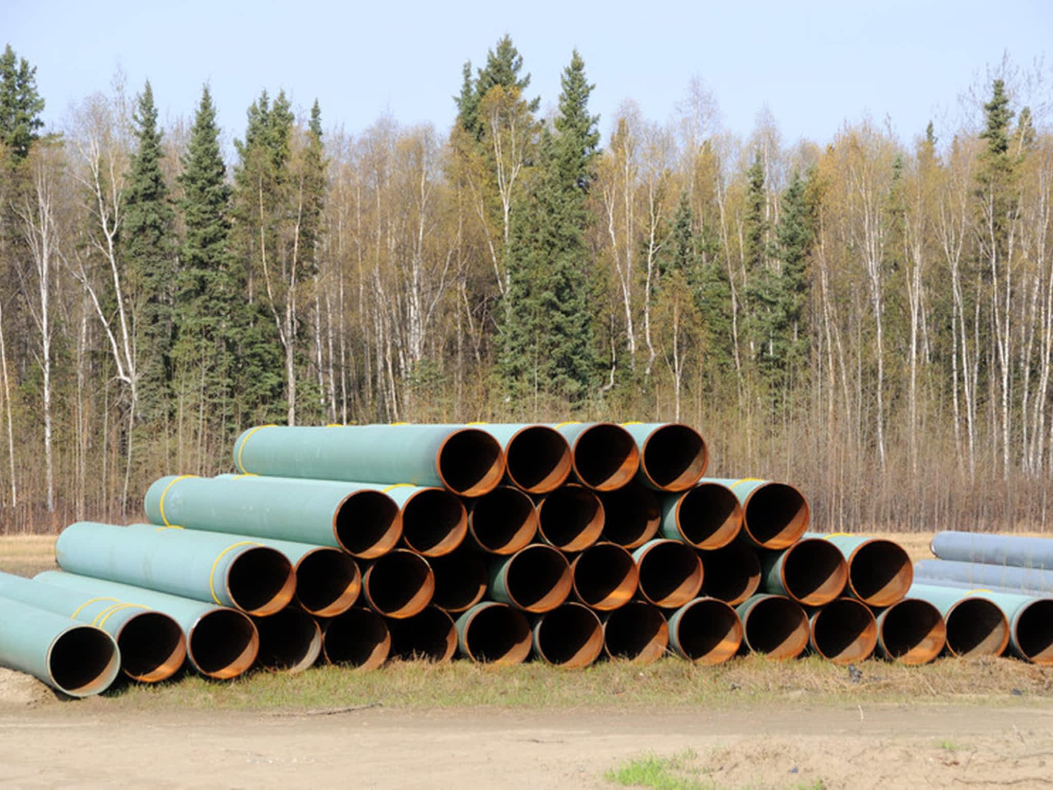 photo PGK Management Ltd