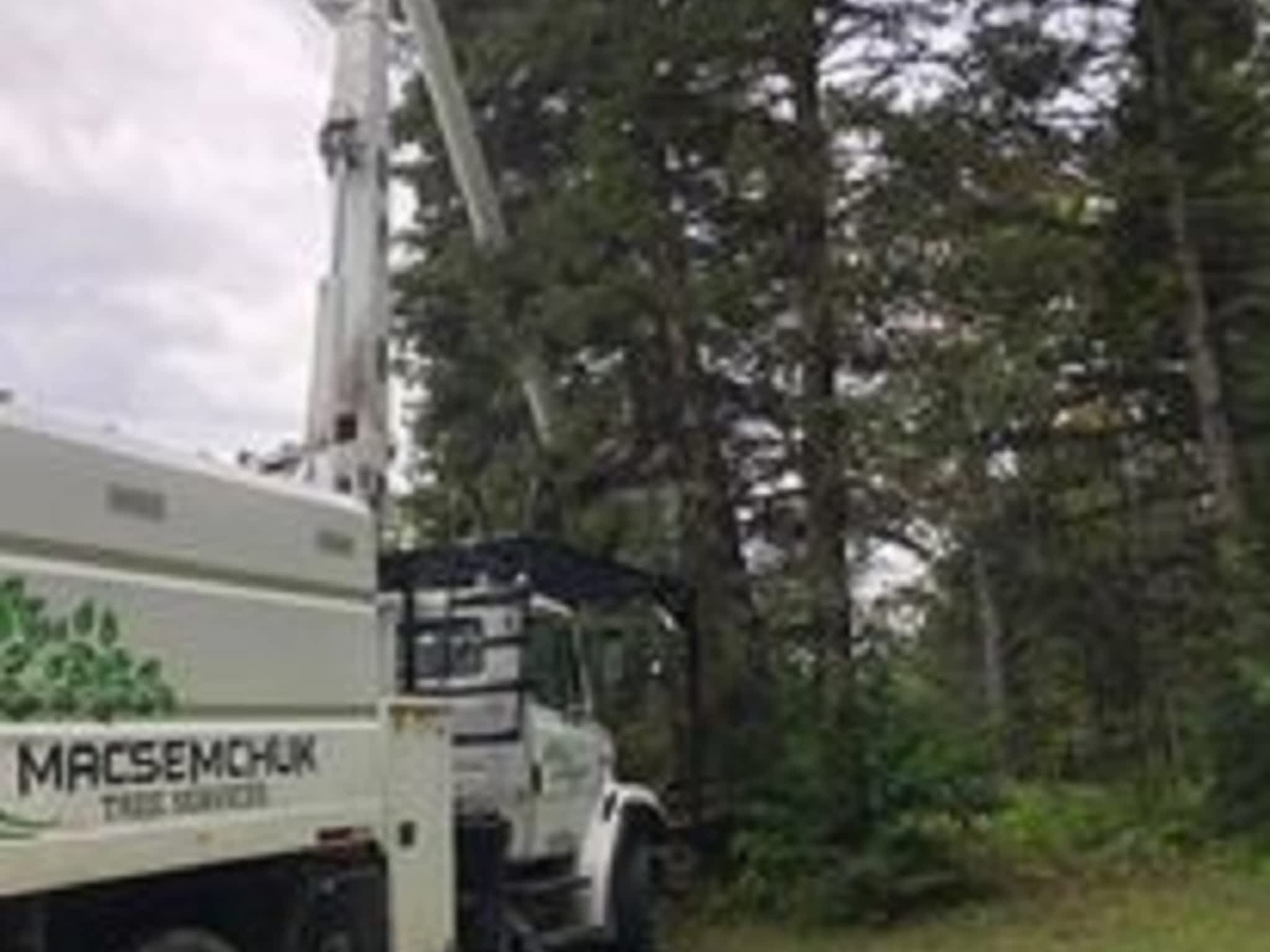 photo Macsemchuk Tree Services
