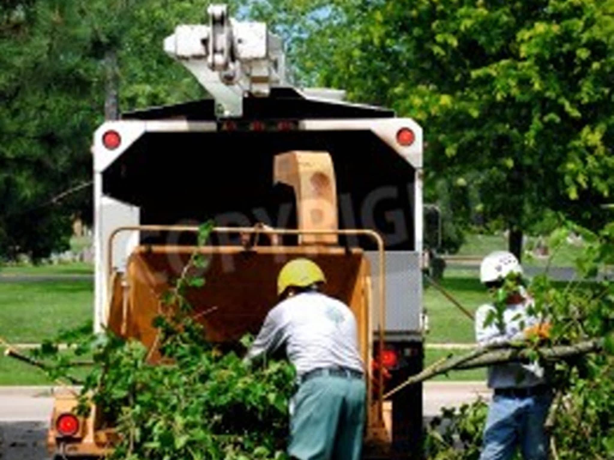 photo Top Notch Tree Service