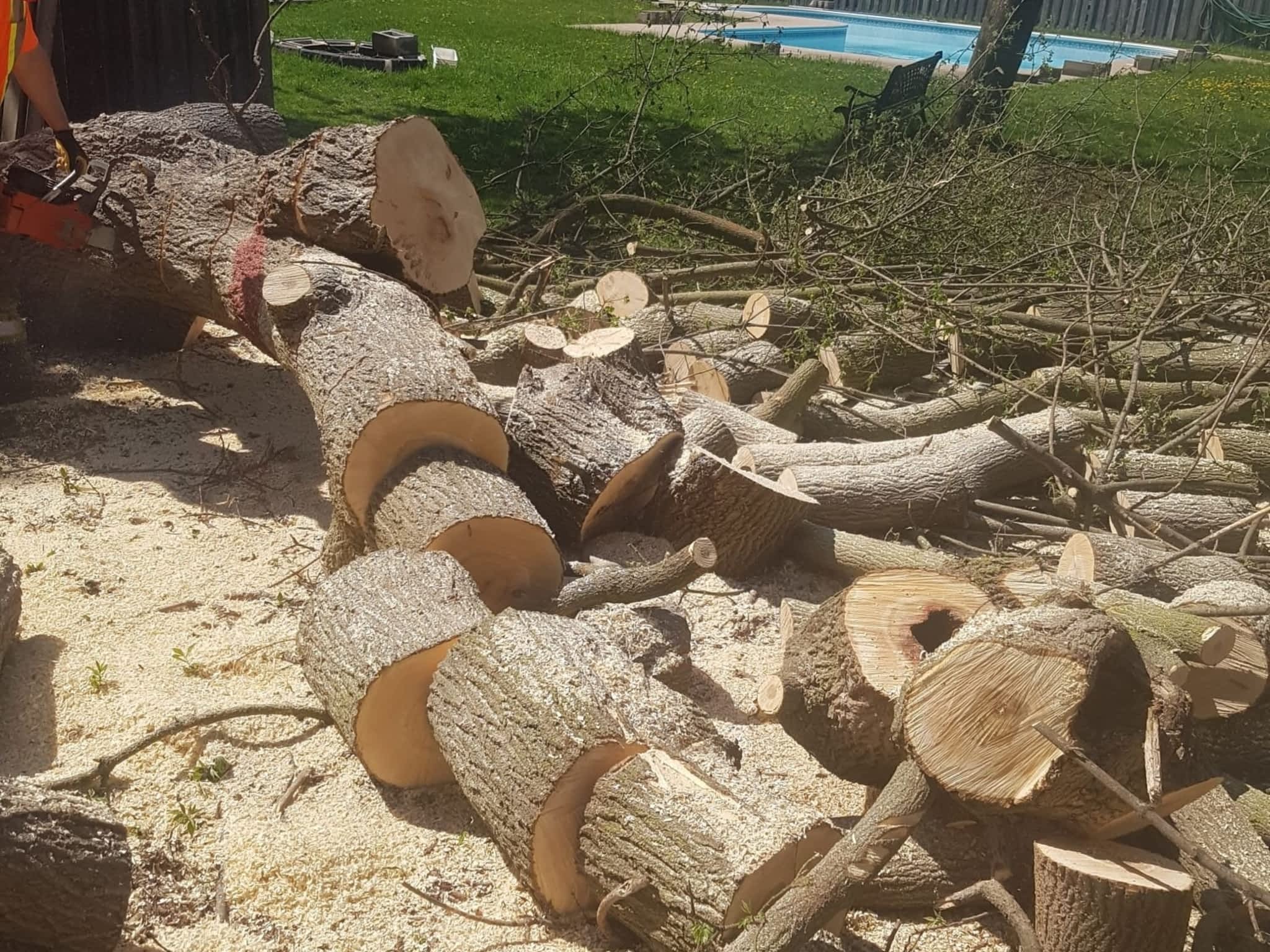 photo Wright's Tree Care