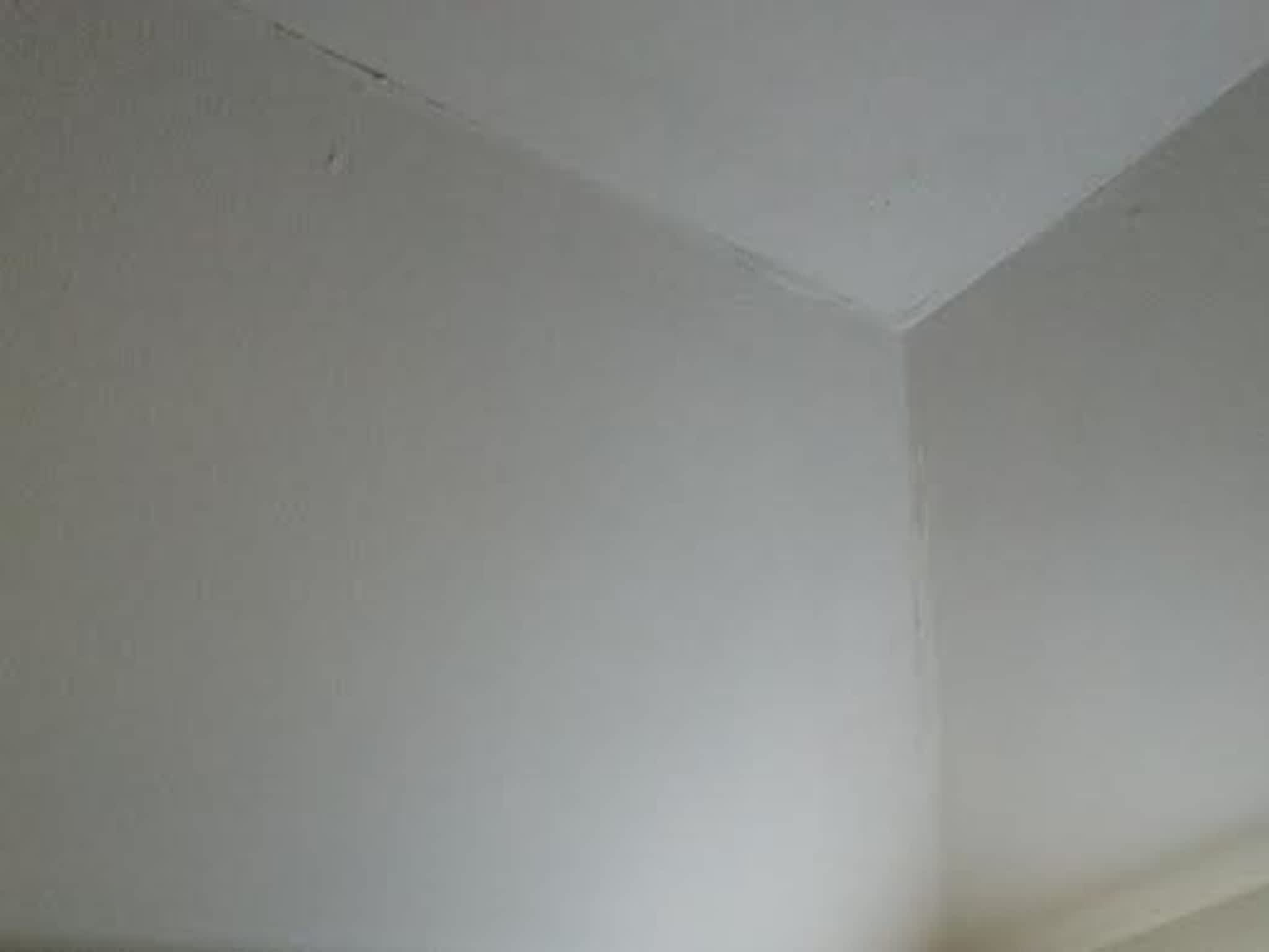 photo Timberwolves Demo