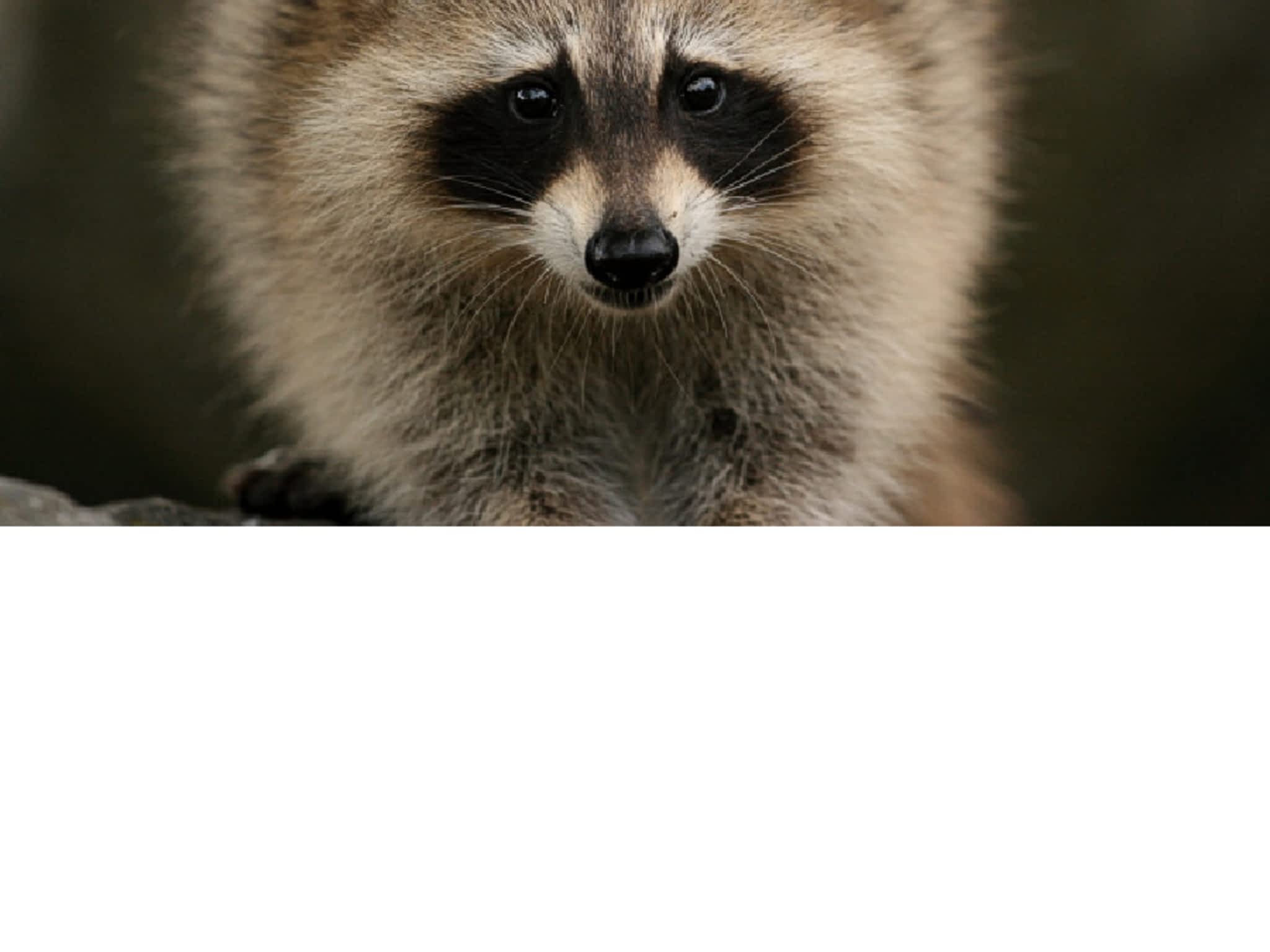 photo Groupe LM Extermination