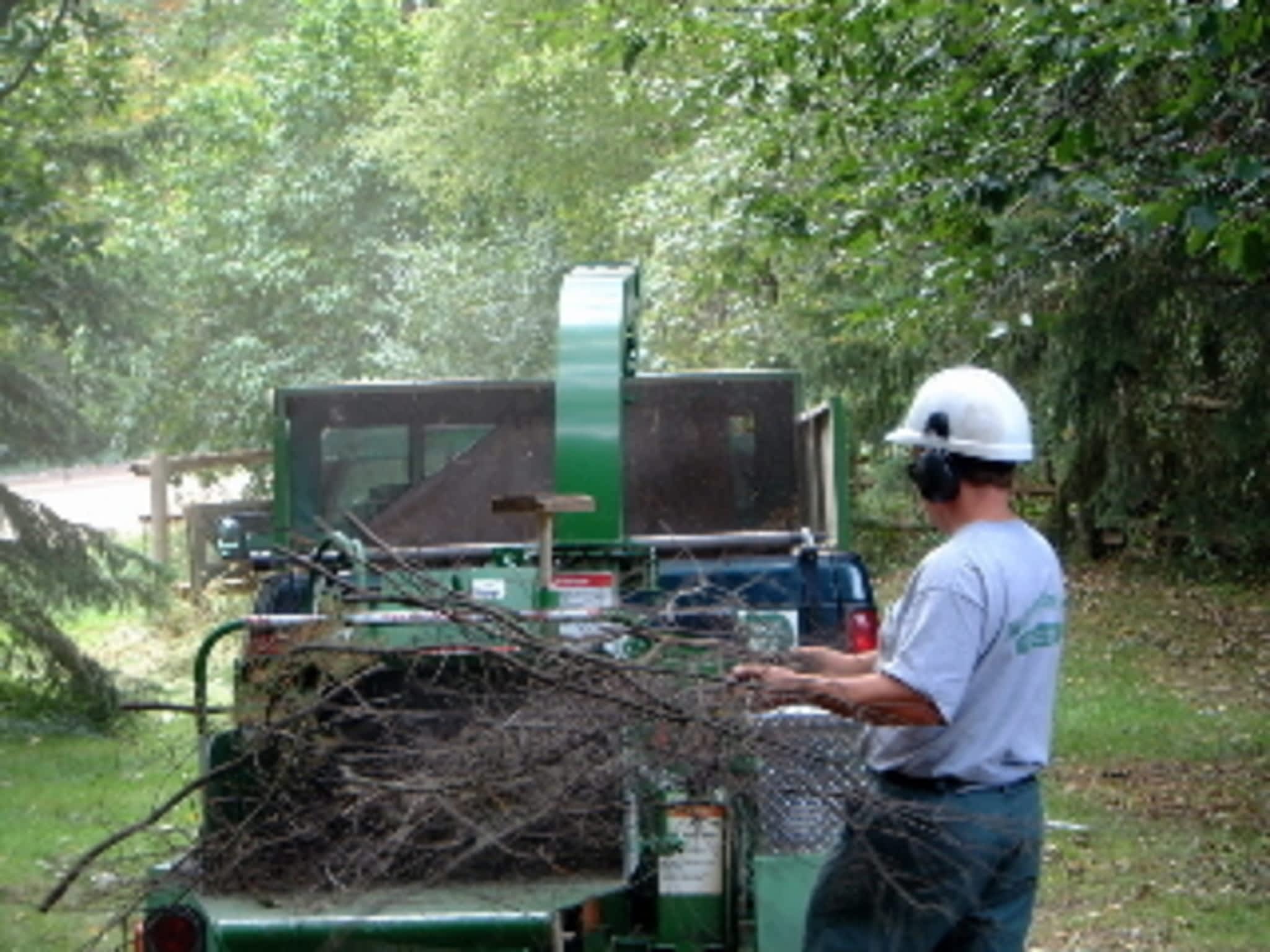 photo Meadowood Tree Service