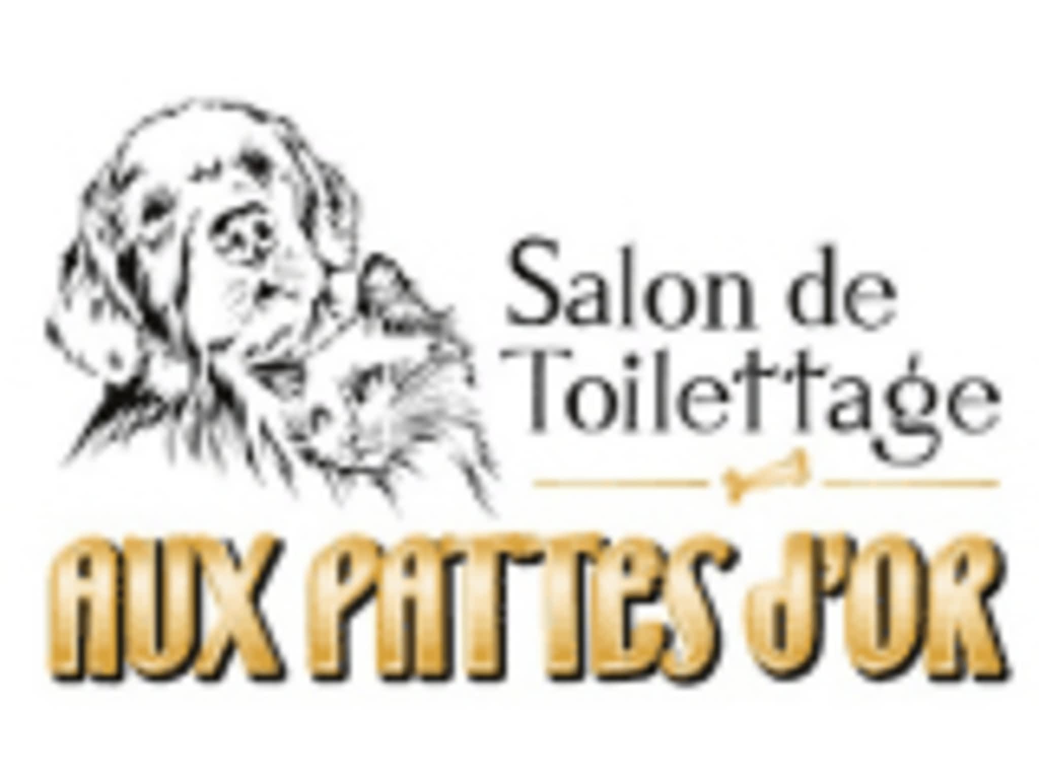 photo Salon de toilettage Aux Pattes D'Or