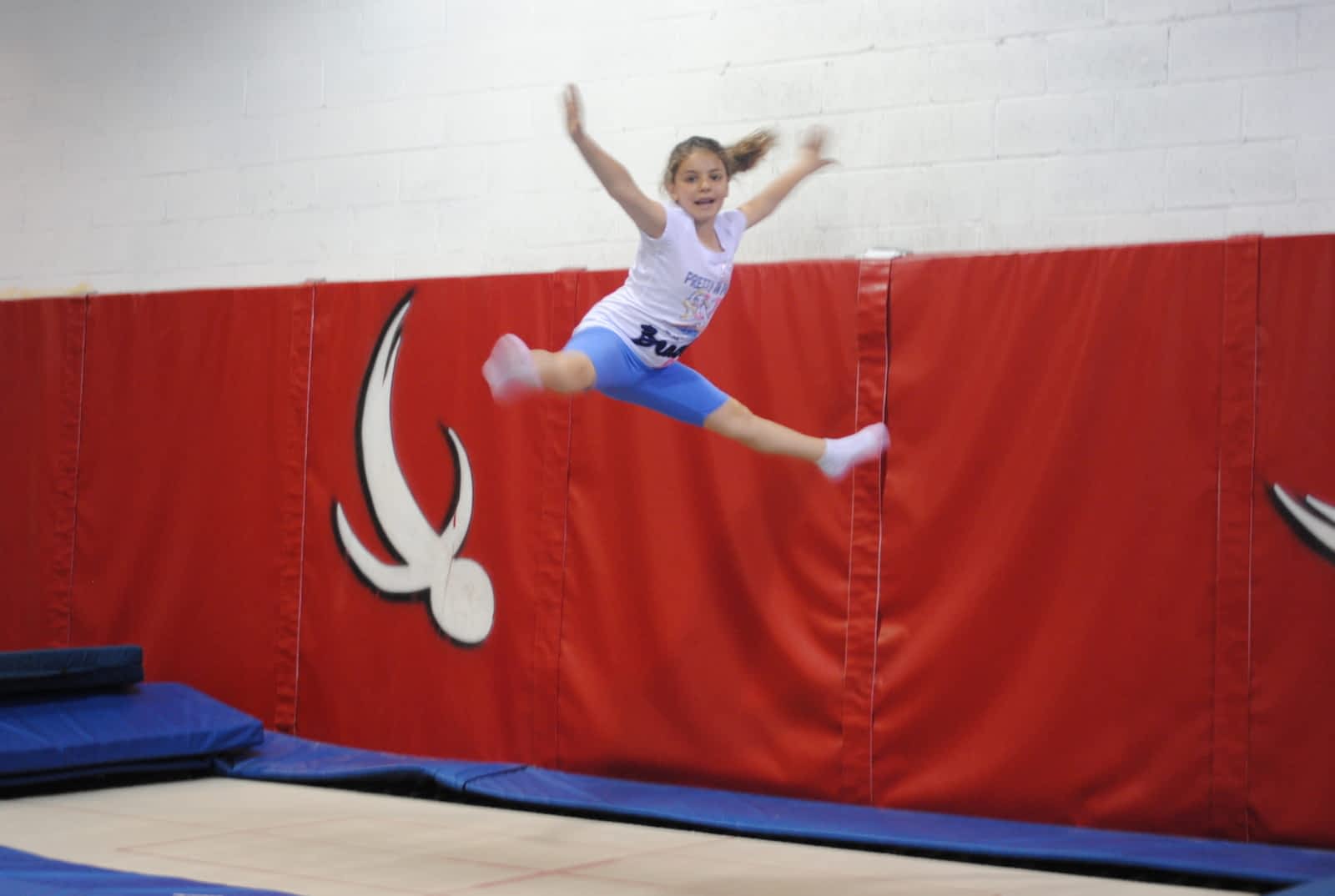 Just Bounce Trampoline Club Inc Opening Hours 3731 Chesswood Dr North York On