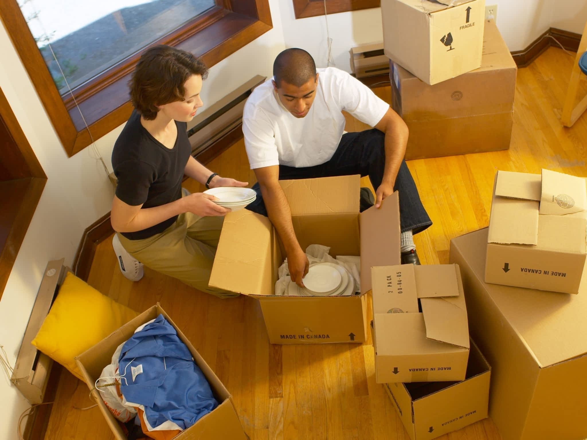 photo Strong Ant Moving