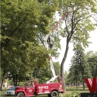 Dulac Services Arbres - Tree Service