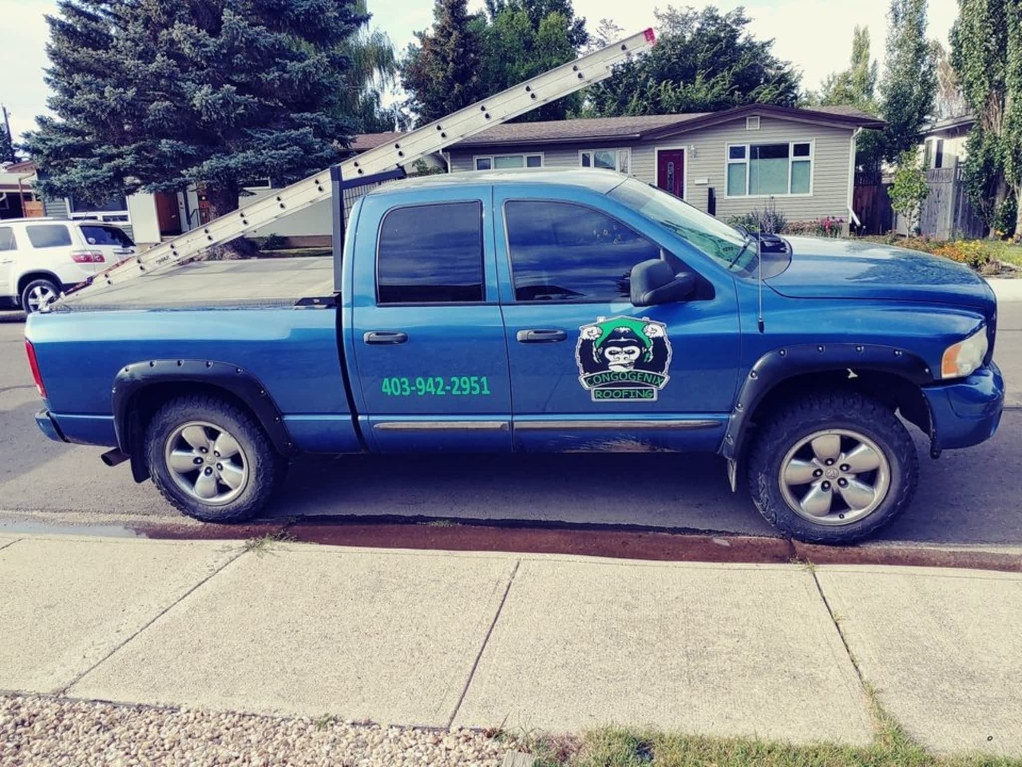 photo CongoGenix Roofing