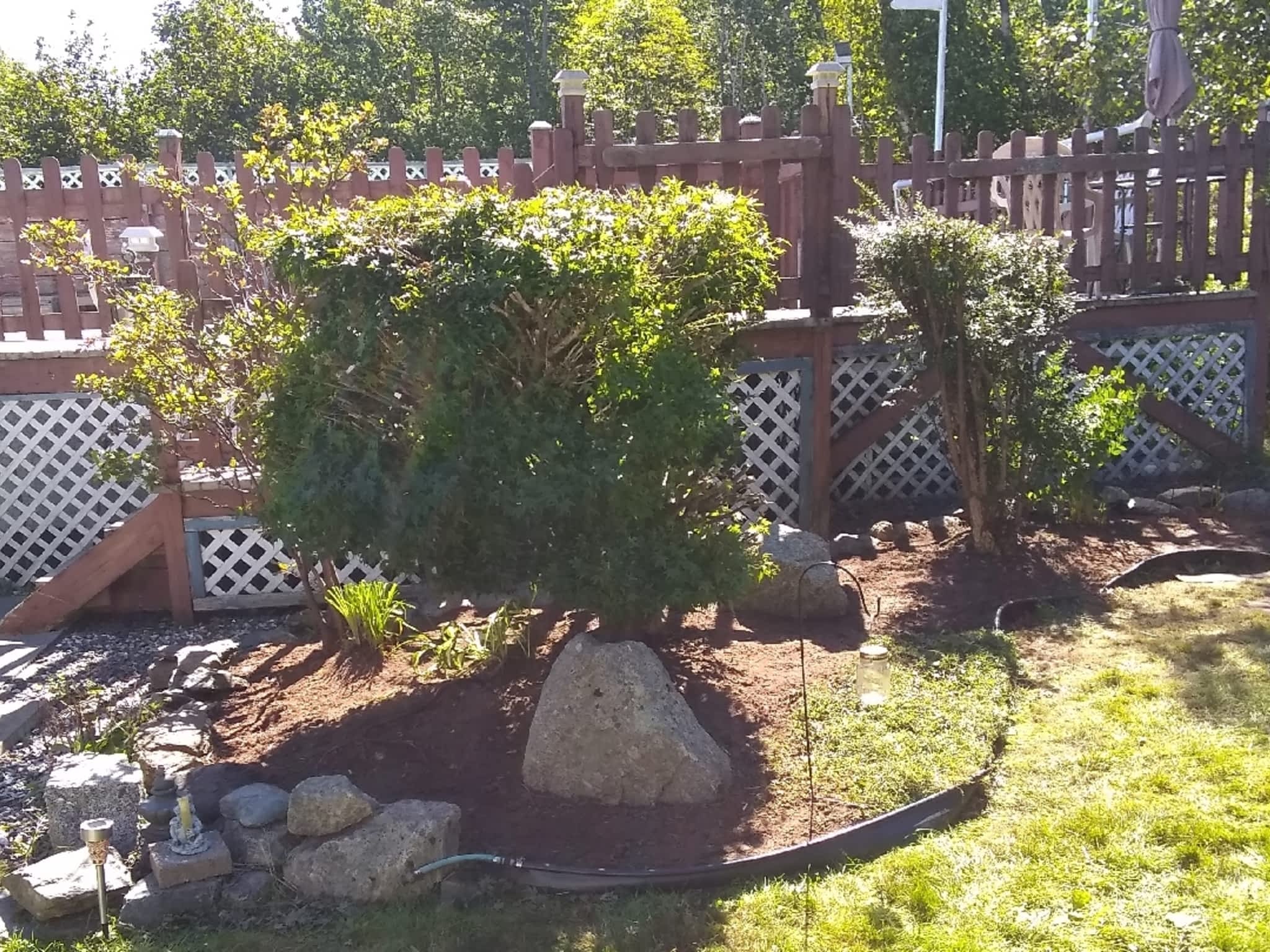 photo Code Green Landscaping & Property Services