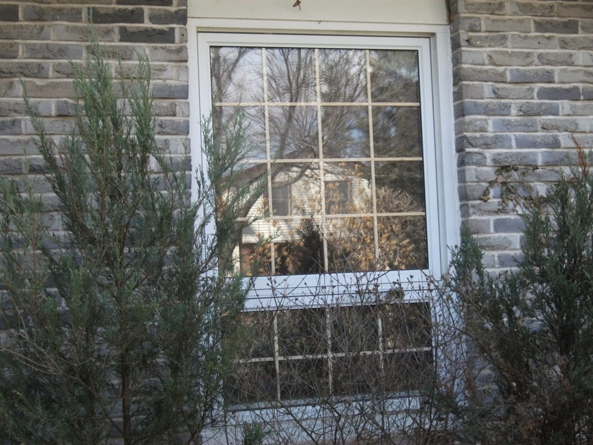 photo Schooner Window Cleaning