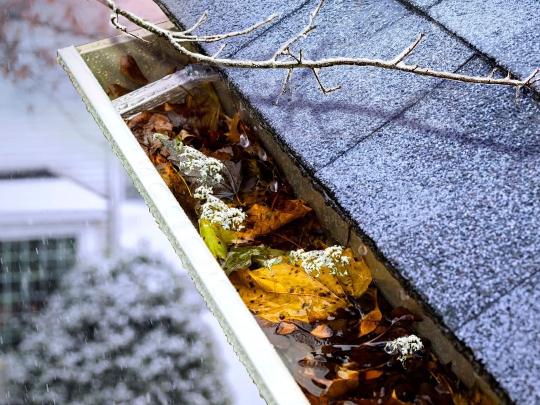 photo LeafFilter Gutter Protection