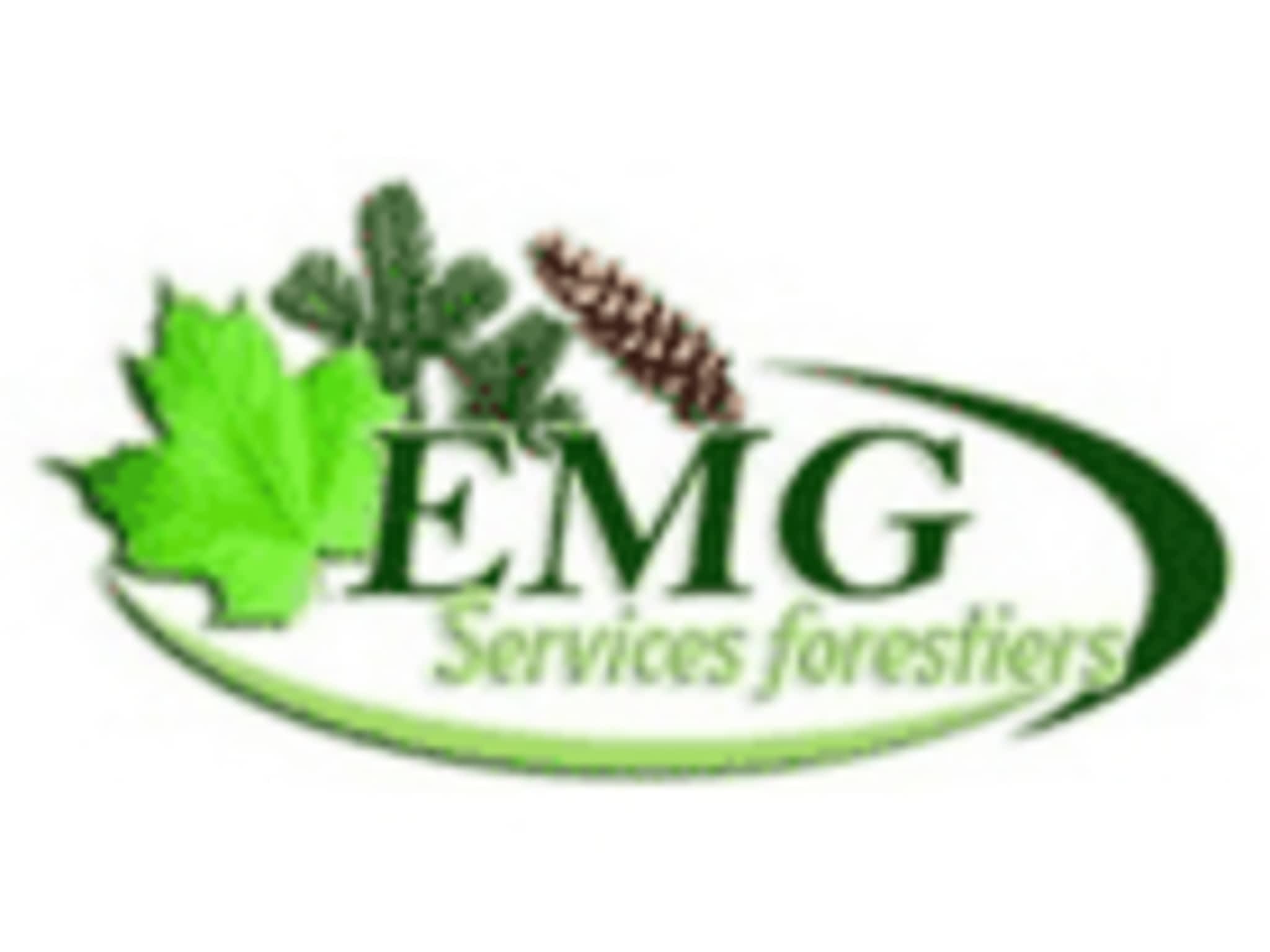 photo Services forestiers EMG