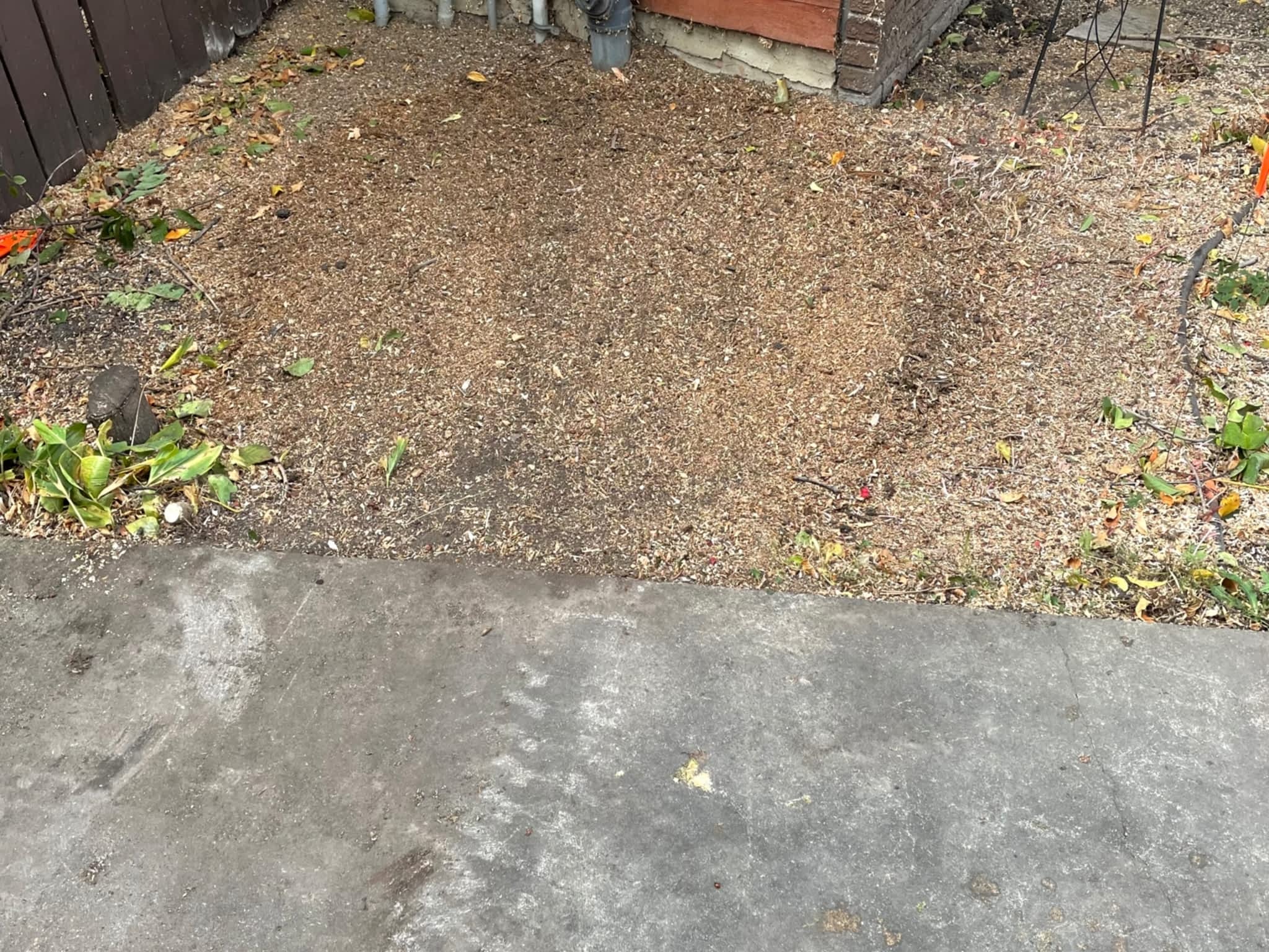 photo Grindpro tree stump grinding