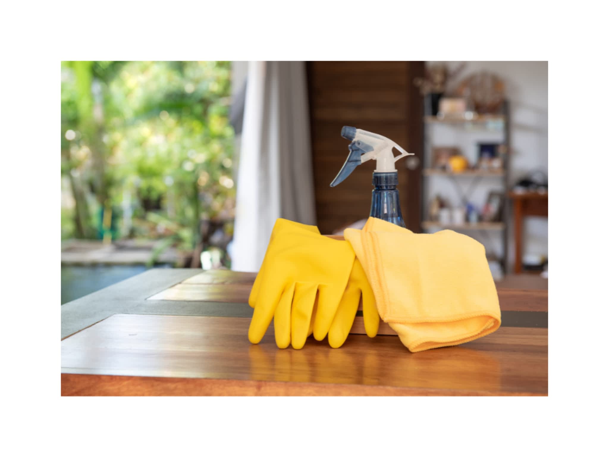 photo New Bloom Cleaning Services