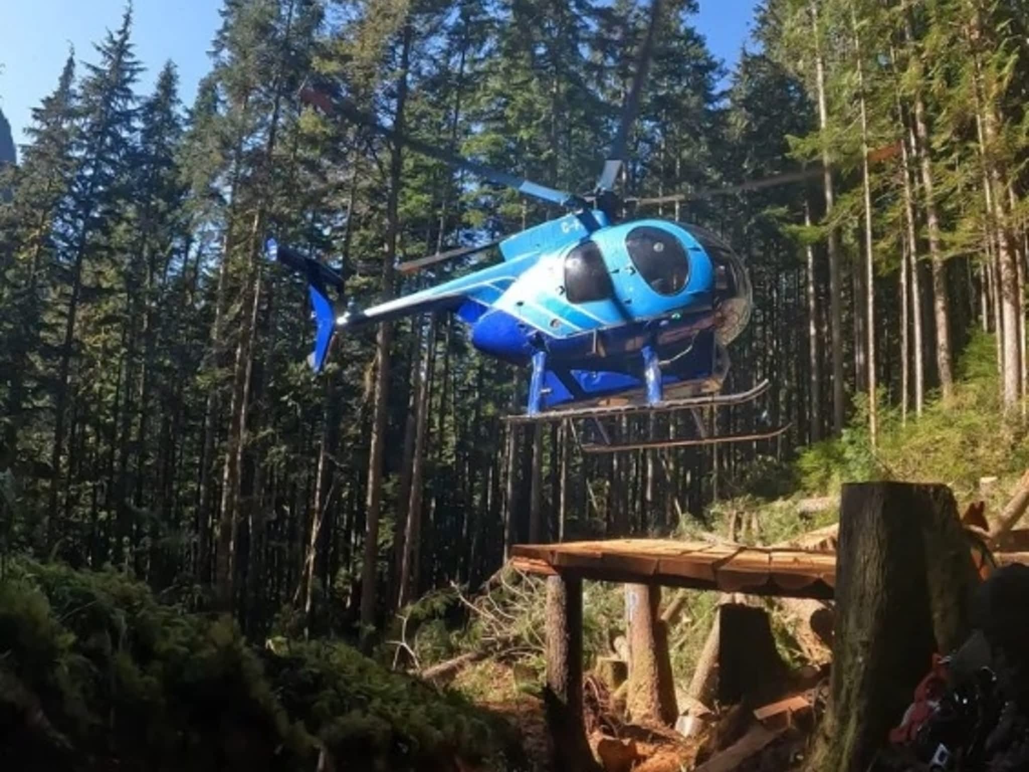 photo Valhalla Falling & Tree Services