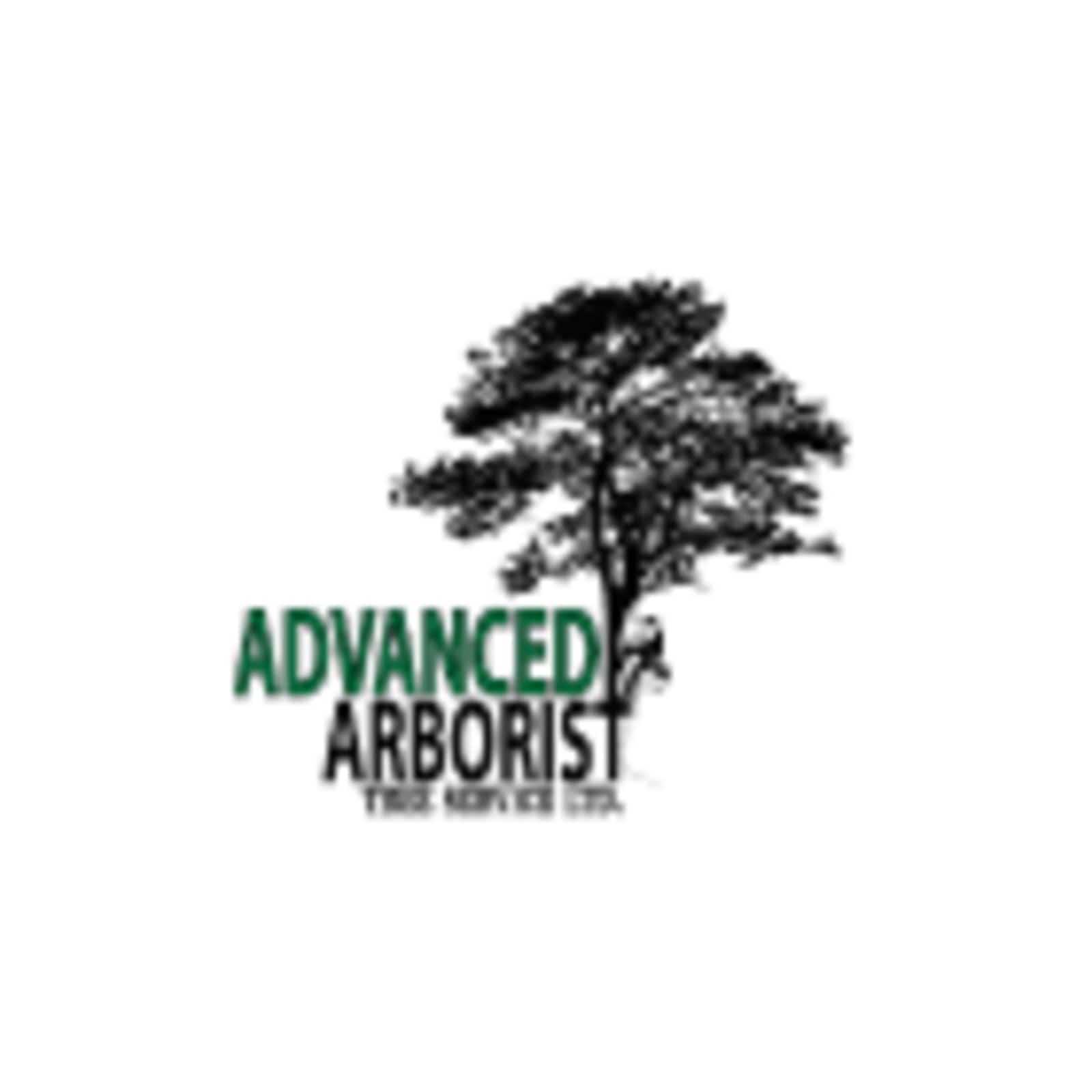 advanced arborist tree service ltd 1