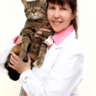 Summeridge Animal Clinic - Veterinarians