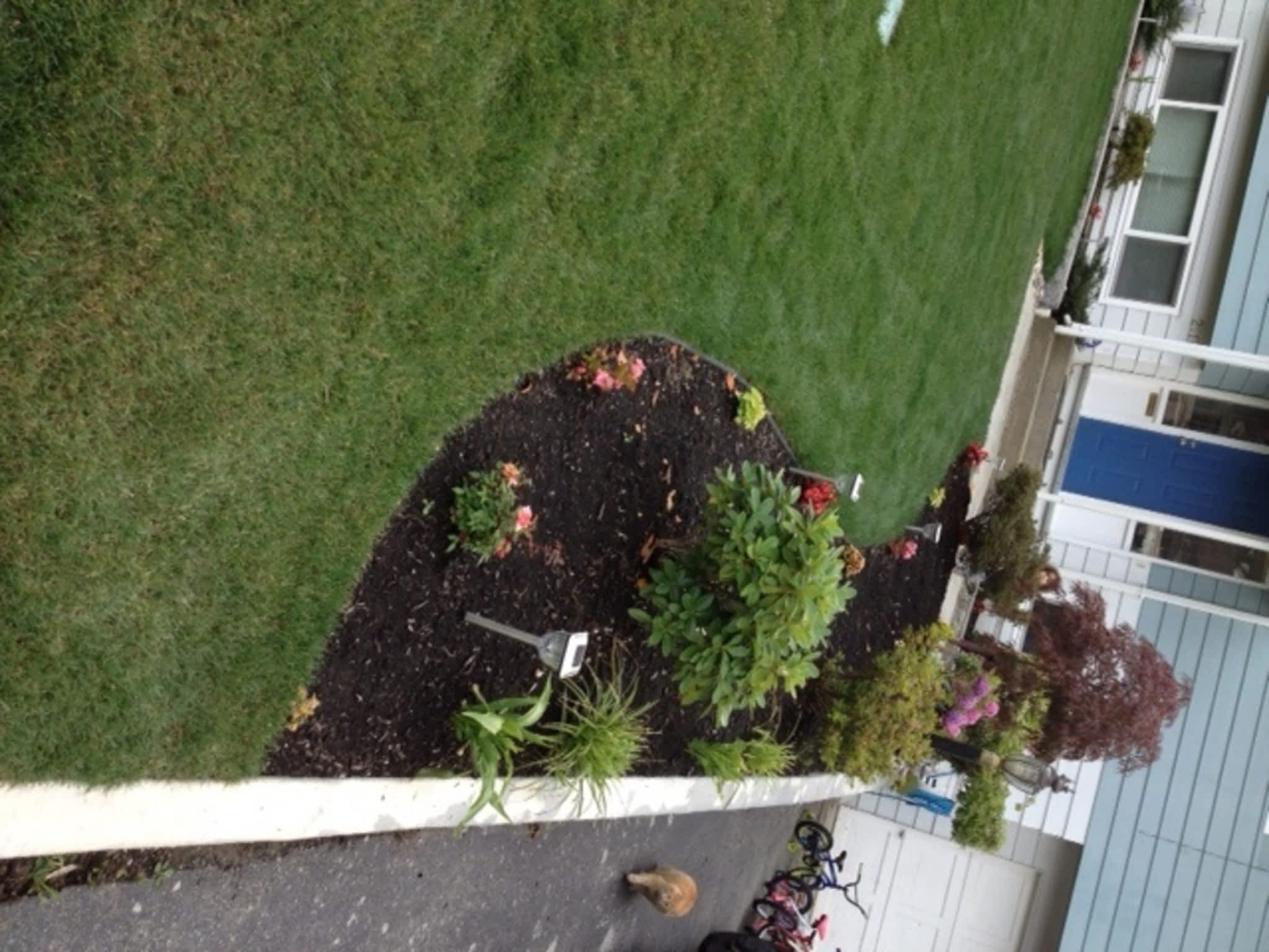 photo Lava Landscaping