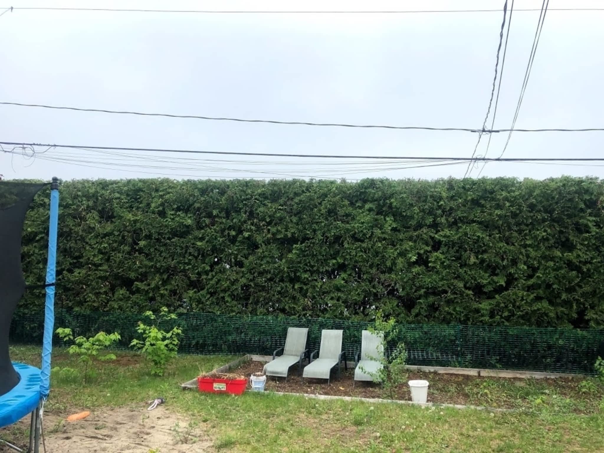 photo Cèdre Esthetique