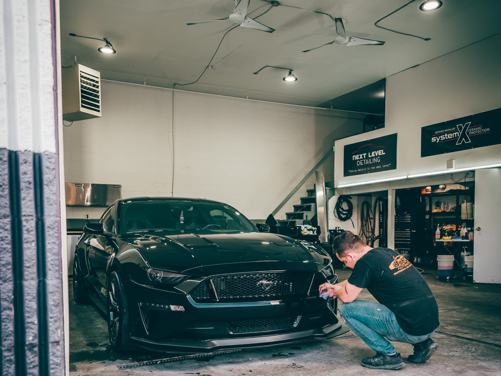 photo Next Level Detailing