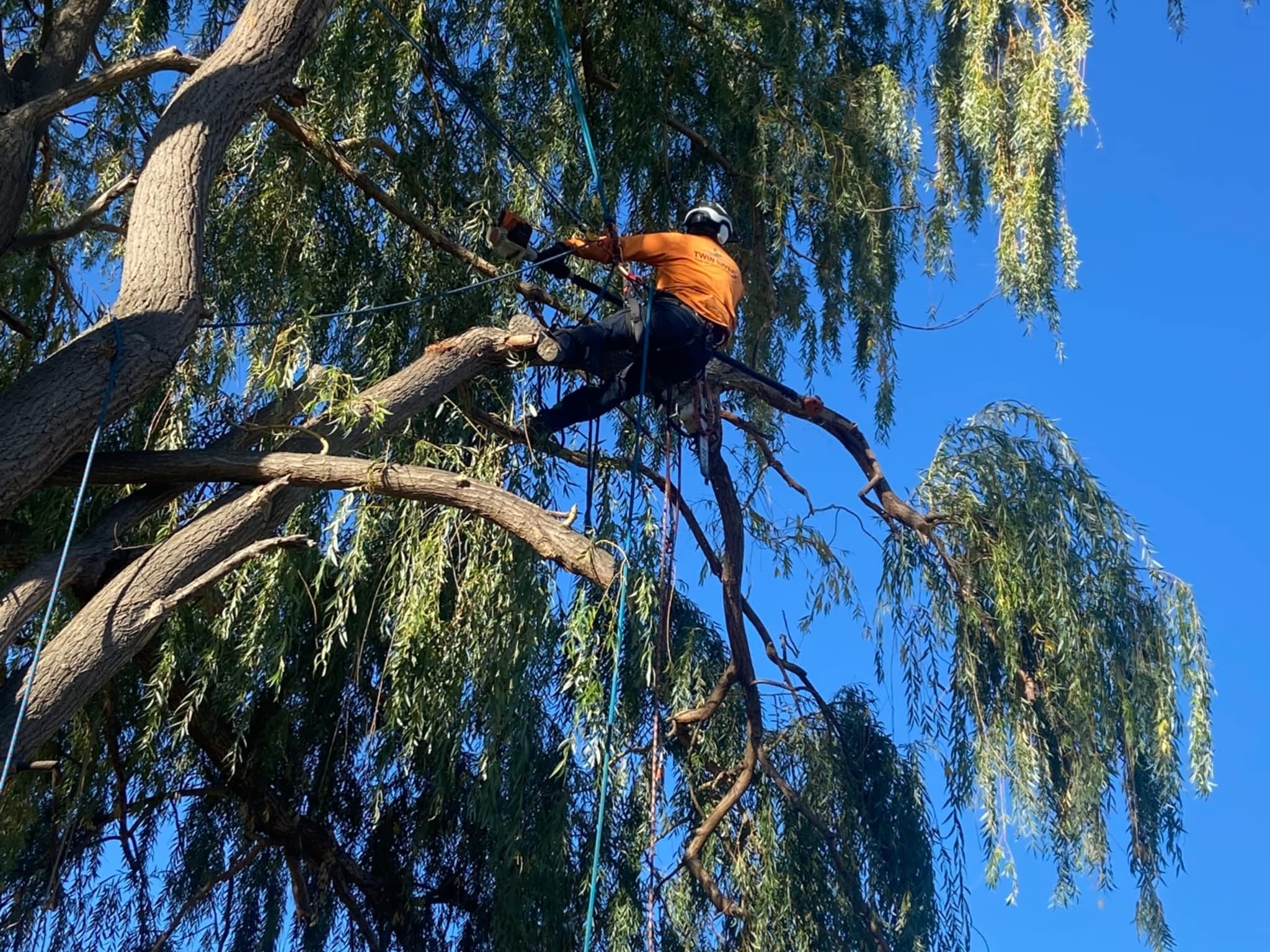 photo Twin Rivers Tree Service and Landscaping - Frase r Valley