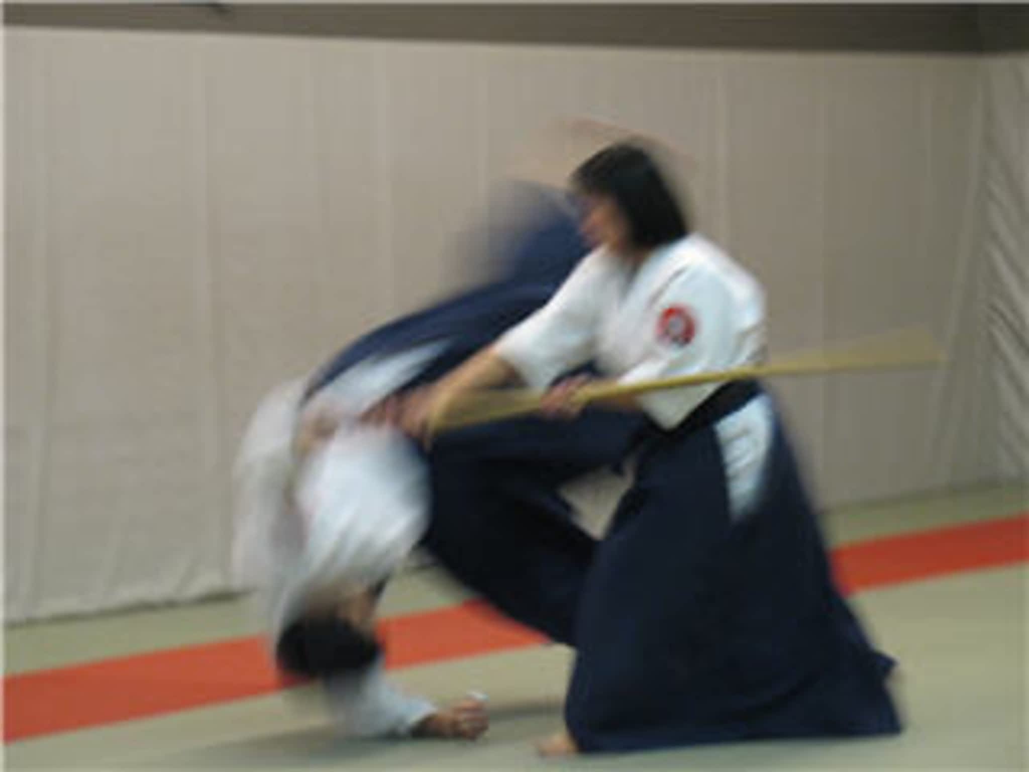 photo Abundant Peace Aikido And Tai Chi School
