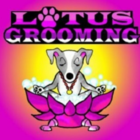 Lotus Grooming - Pet Grooming, Clipping & Washing