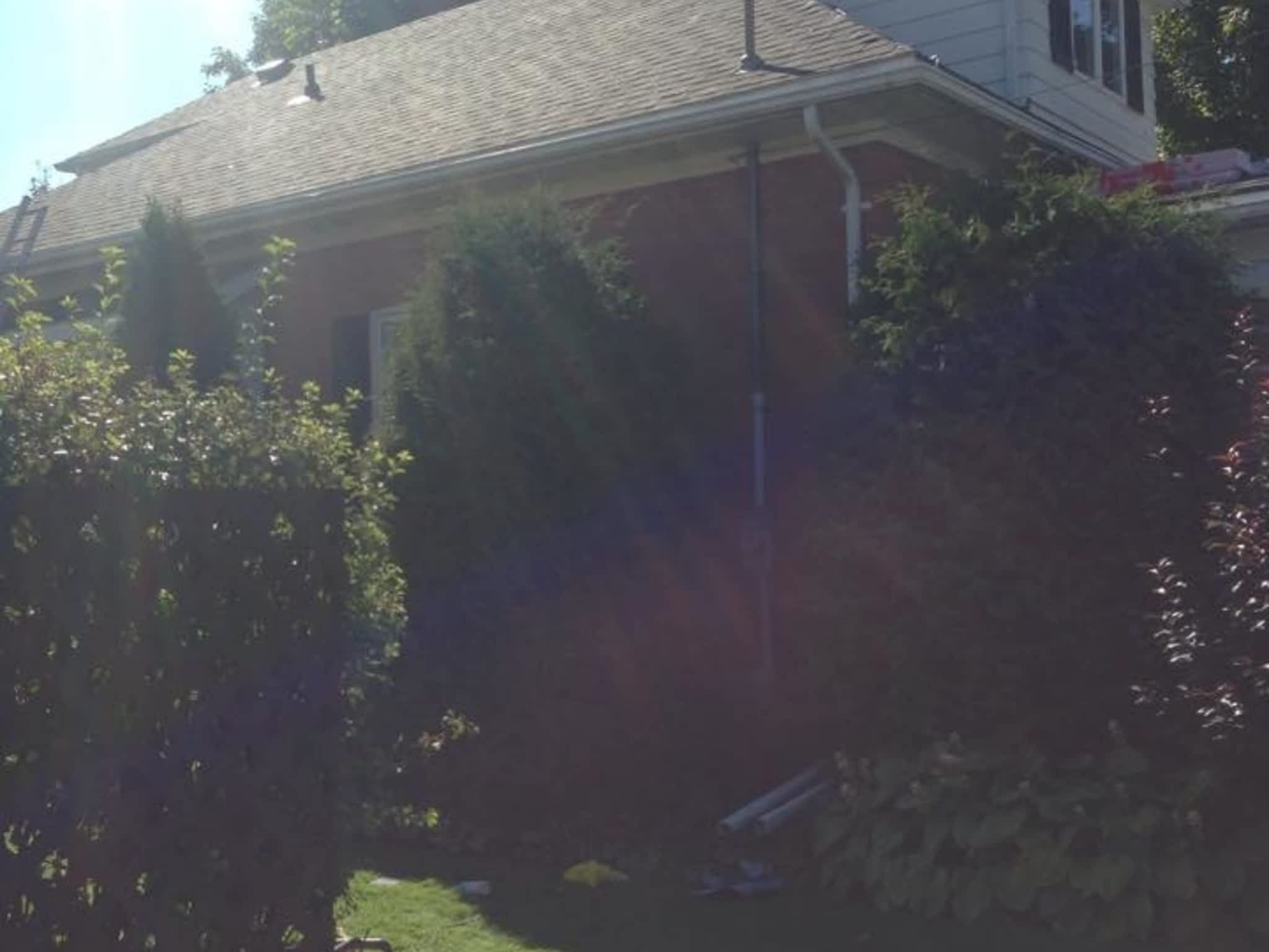 photo Reed Tripp Construction & Roofing