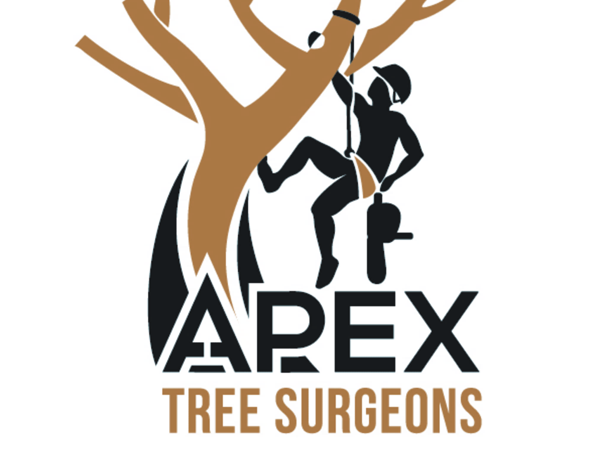 photo Apex Tree Surgeons